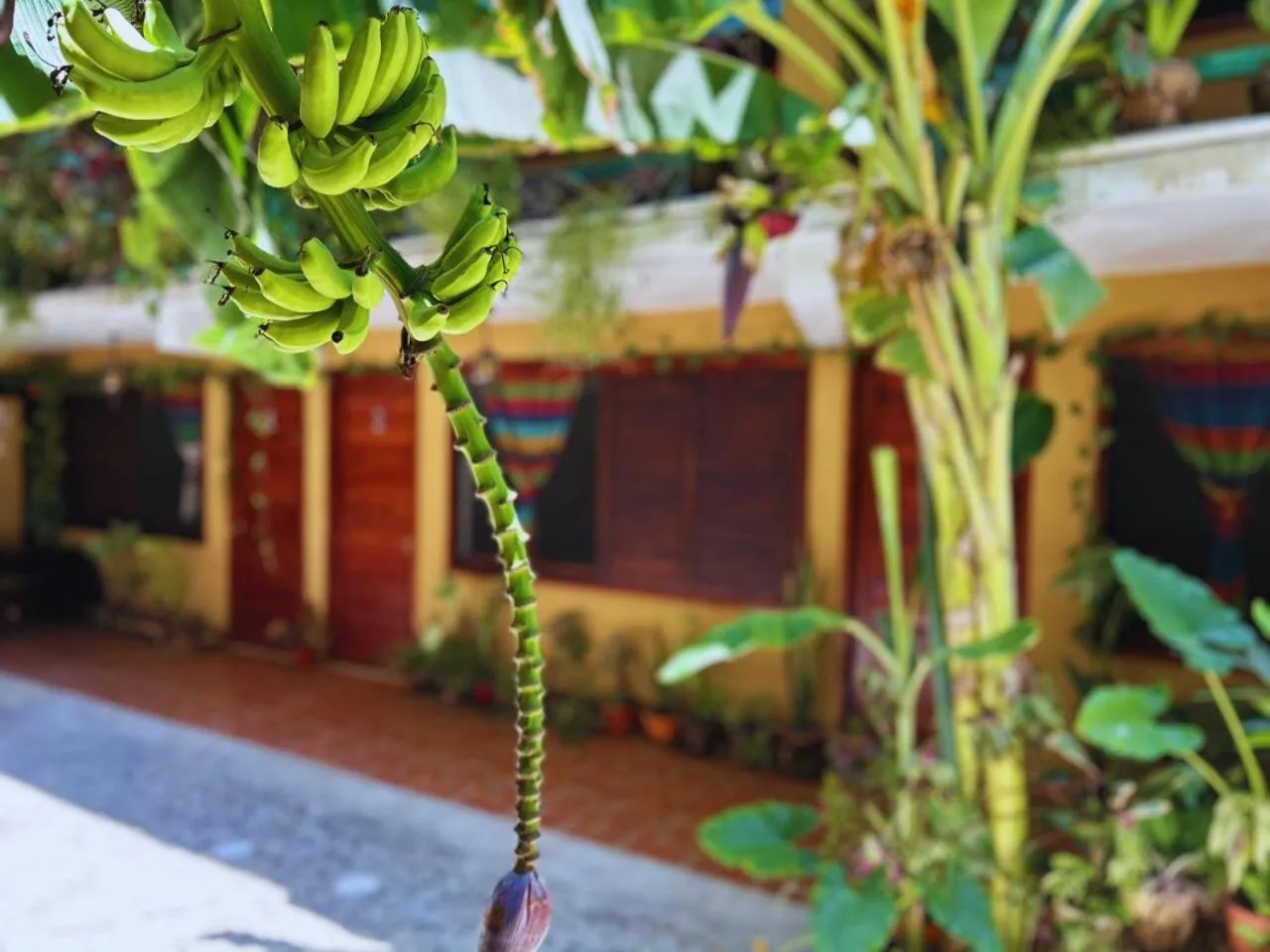 Hotel Casa del Mar Mazunte