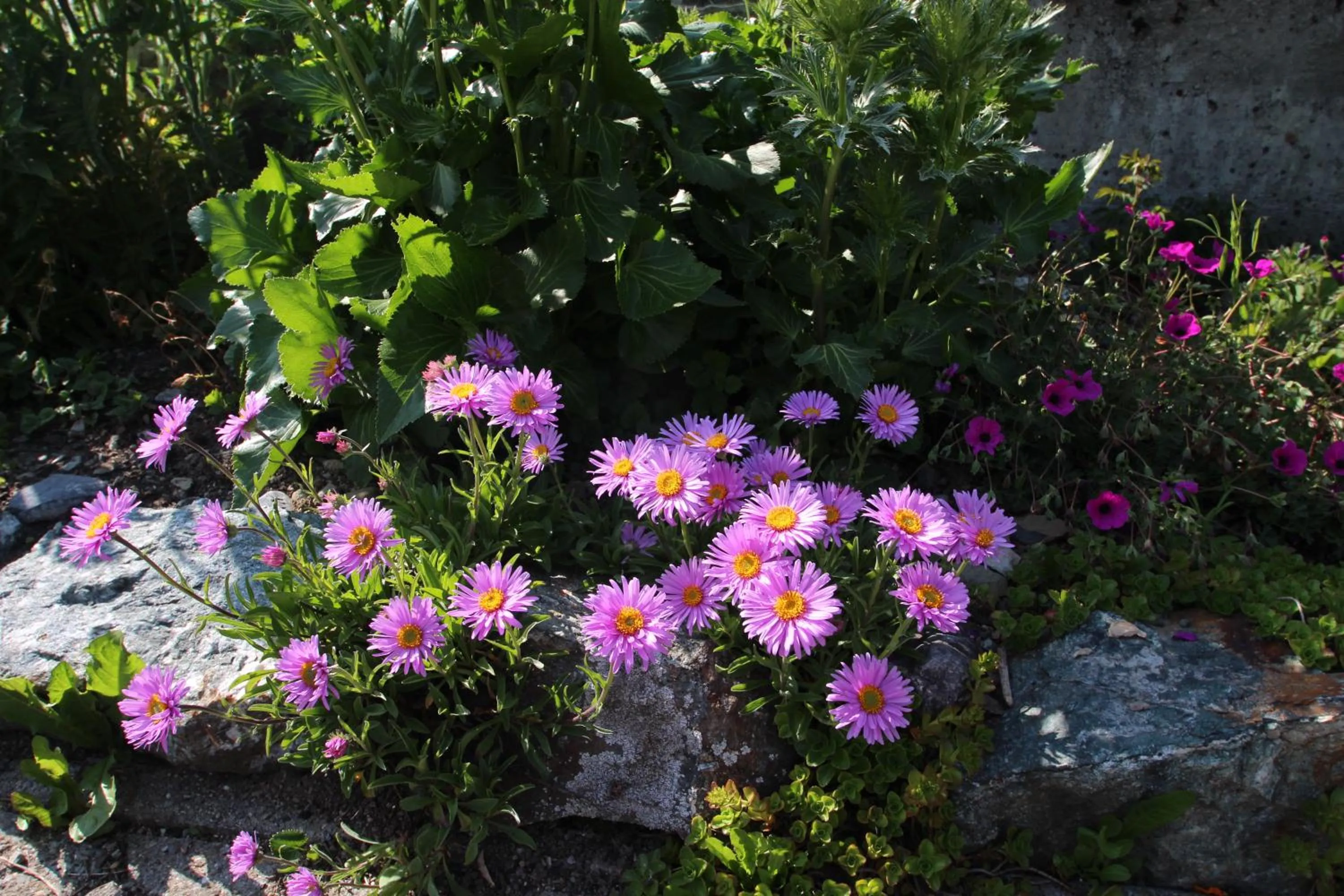 Other in Hotel Gspan