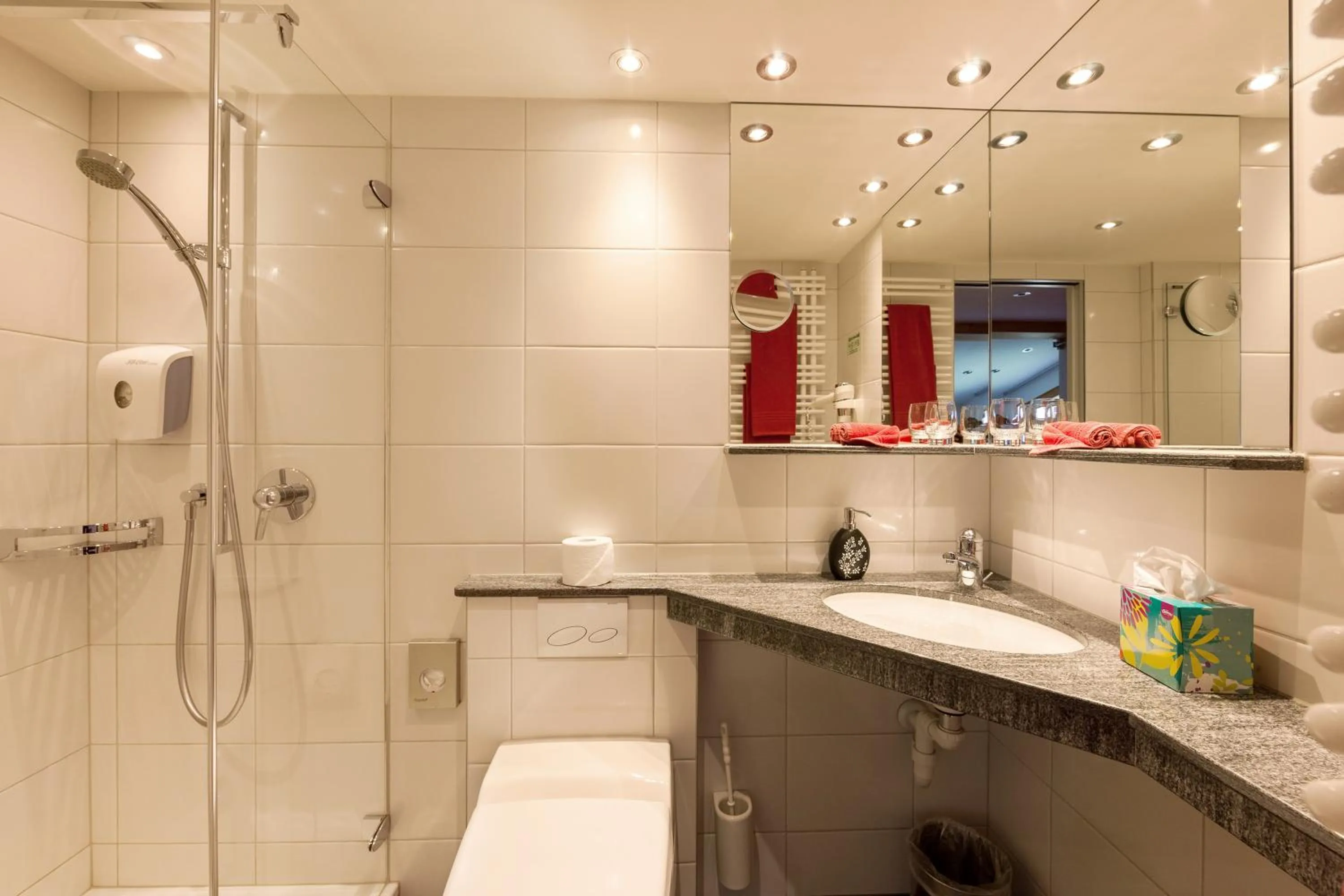 Bathroom in Hotel Gspan