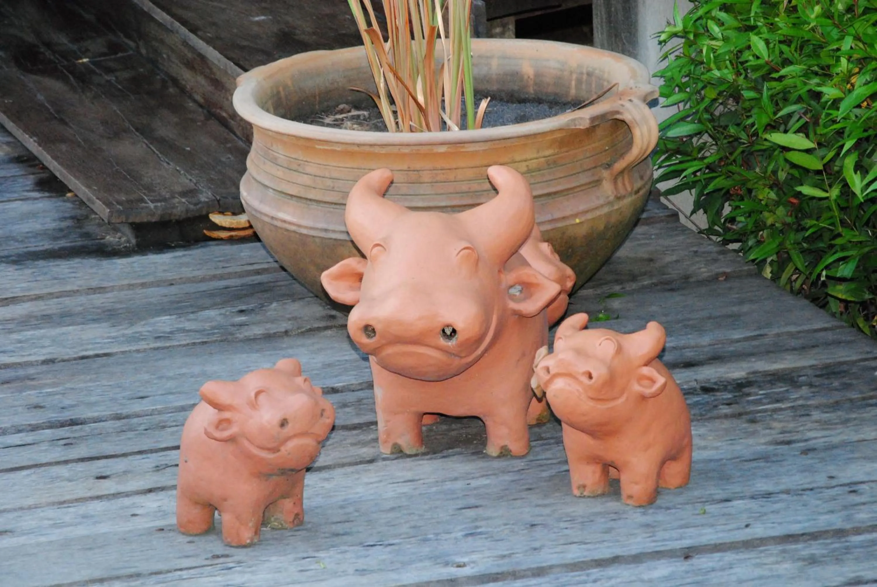 Garden in Baan Chai Thung Resort