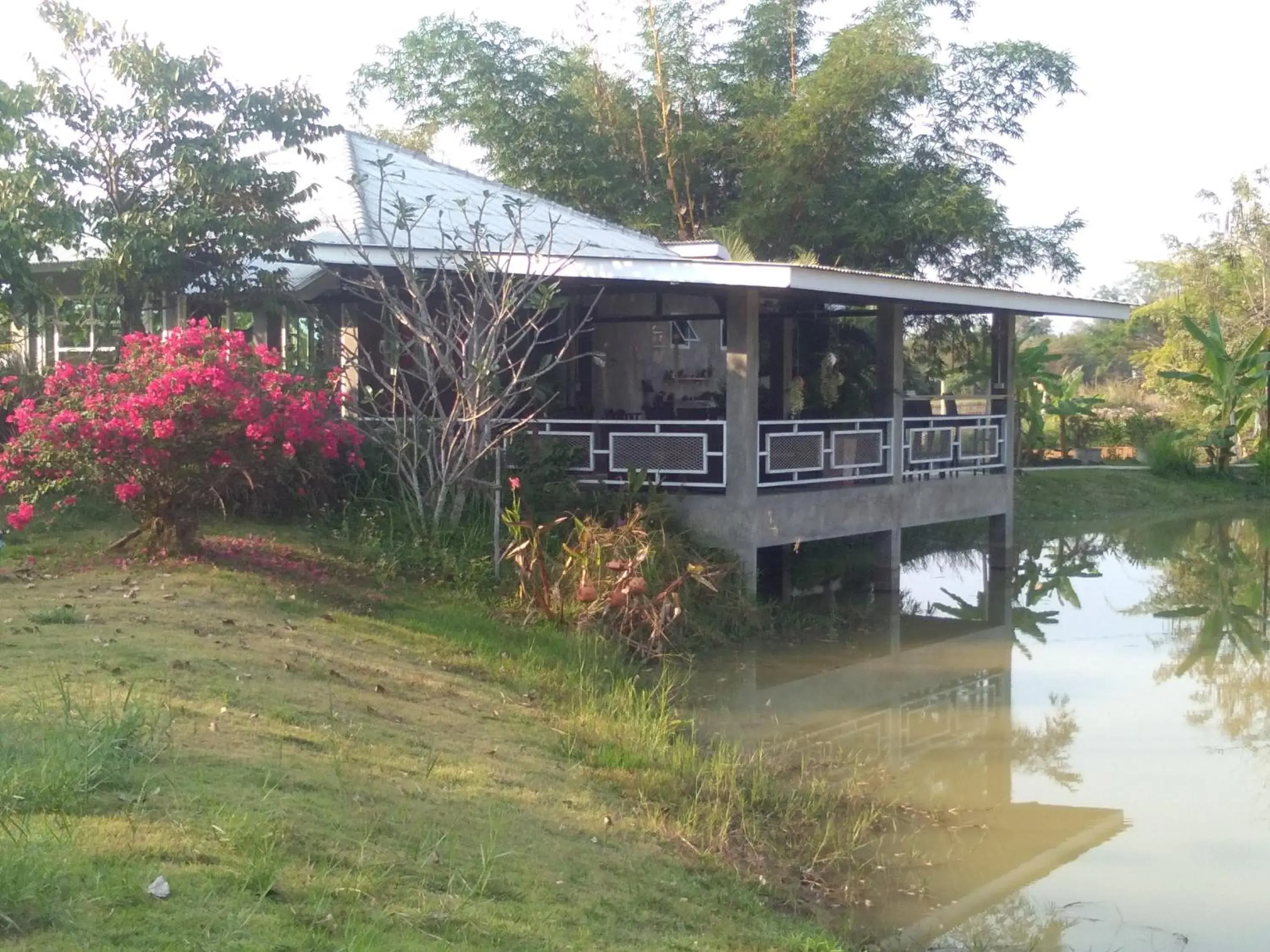 Restaurant/places to eat in Baan Chai Thung Resort Restaurant/places to eat in Baan Chai Thung Resort