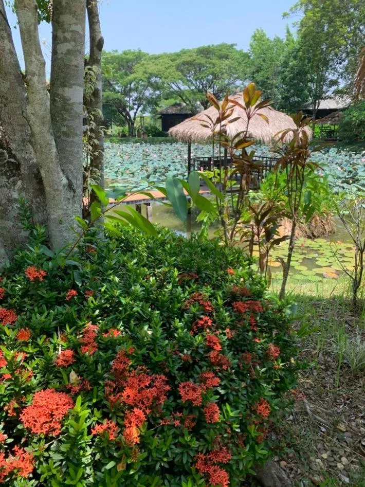 Garden in Baan Chai Thung Resort