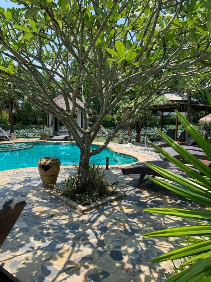 Swimming pool in Baan Chai Thung Resort