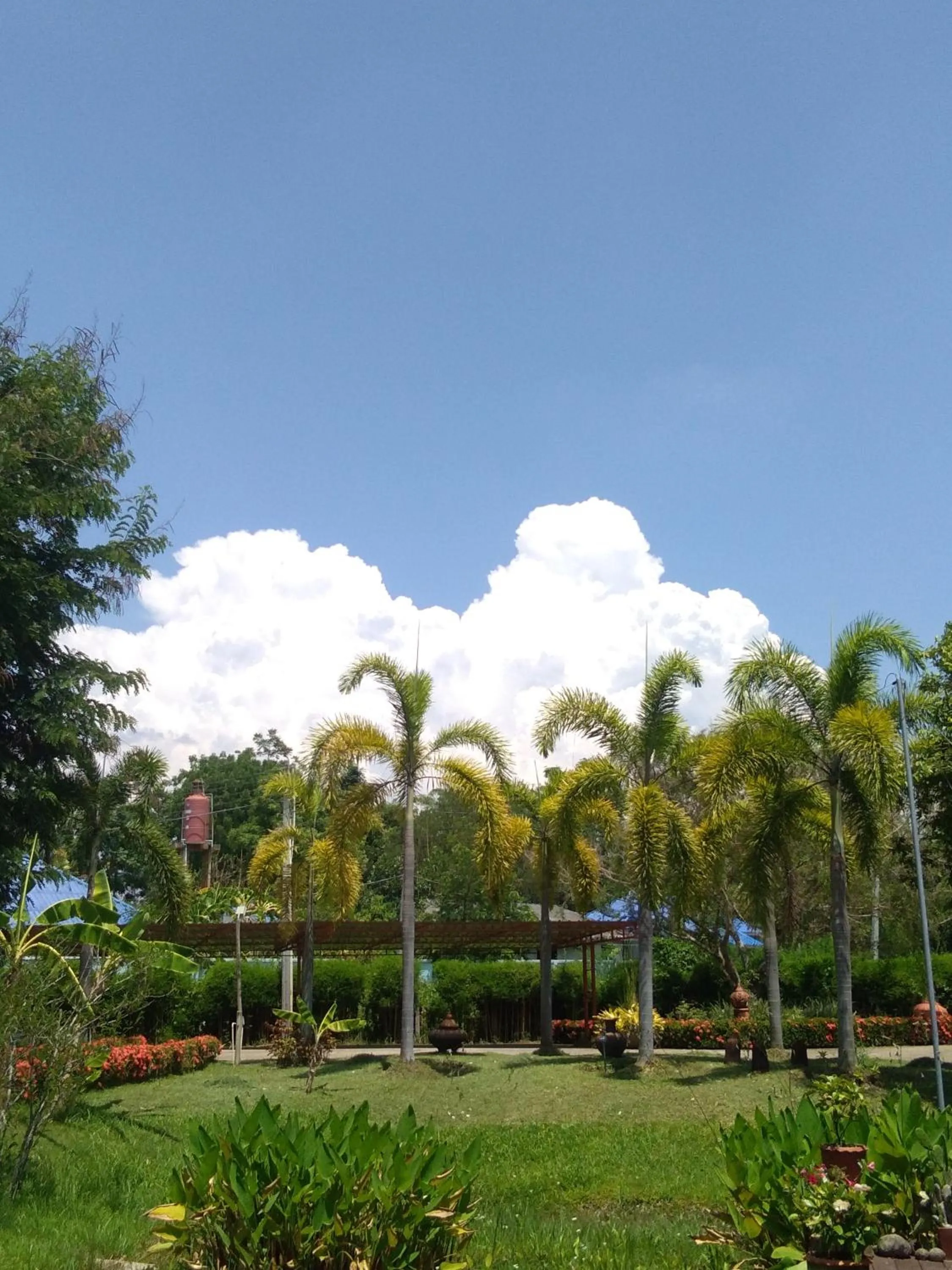 Garden in Baan Chai Thung Resort