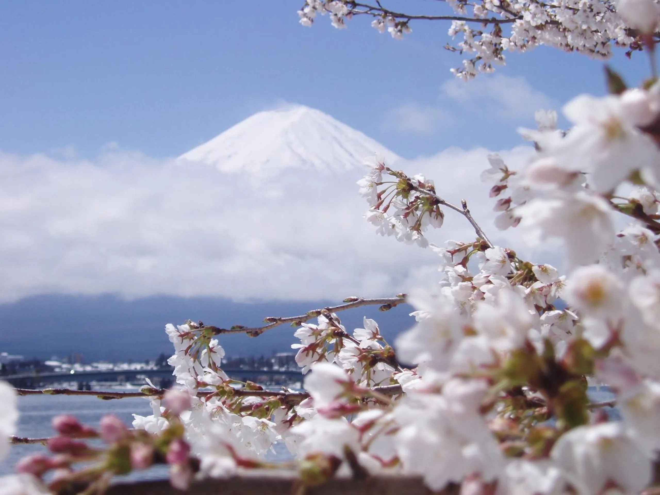 Natural landscape in Komaya Ryokan