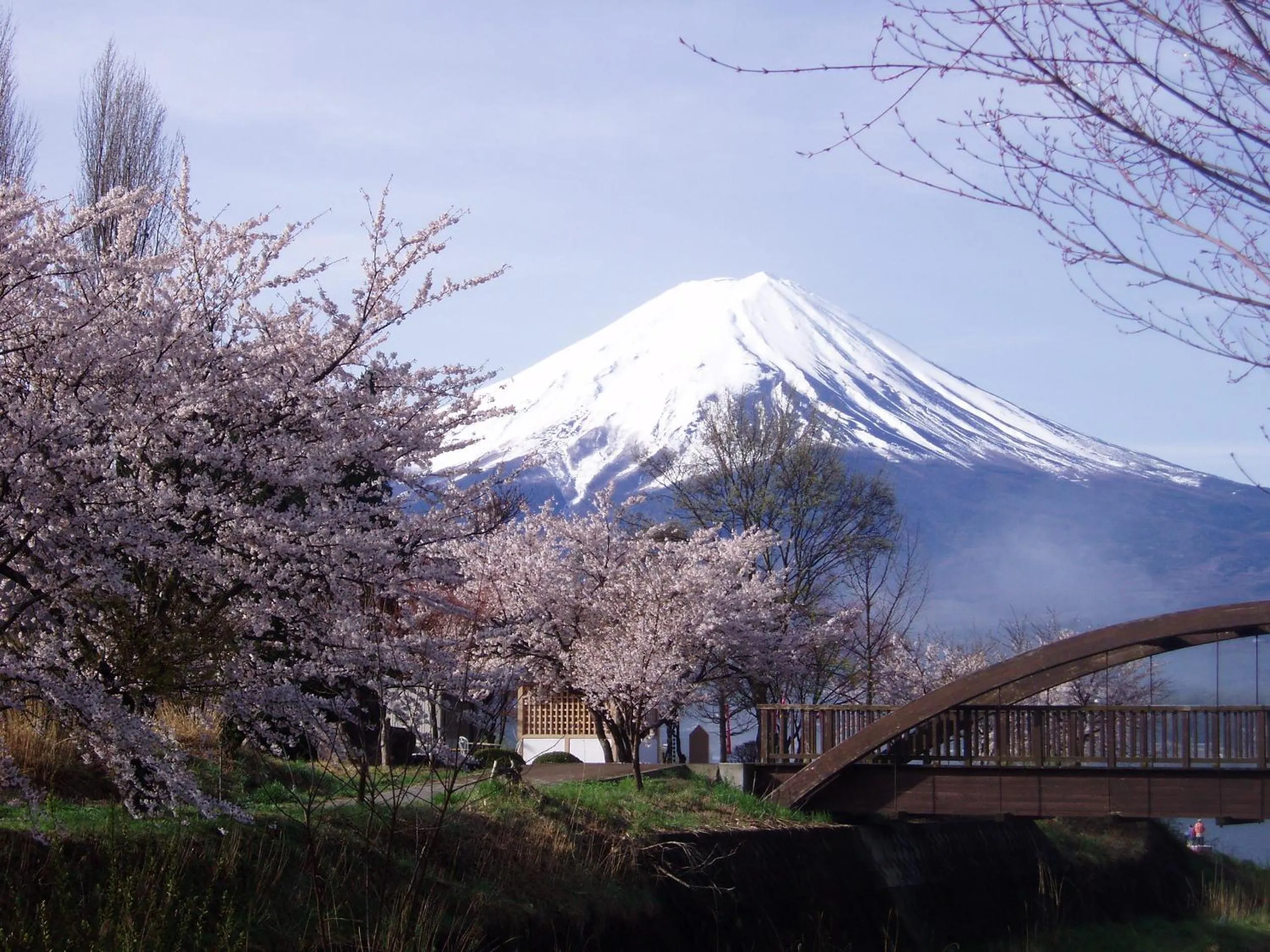 Natural landscape in Komaya Ryokan