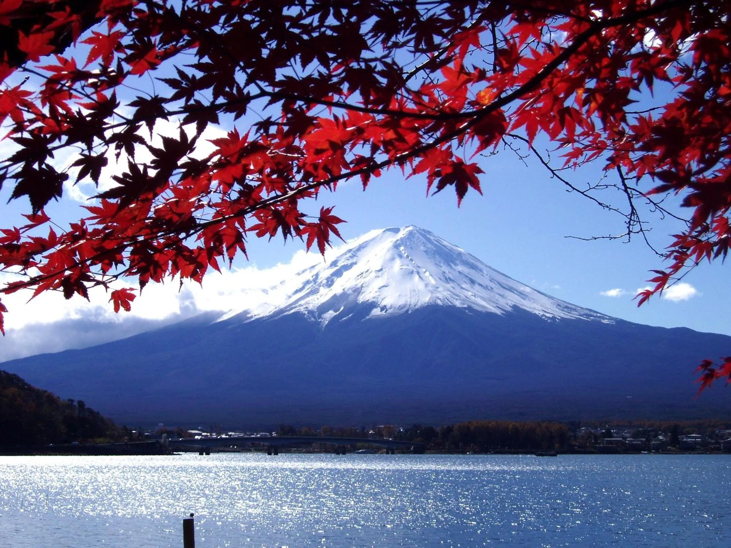 Natural landscape in Komaya Ryokan