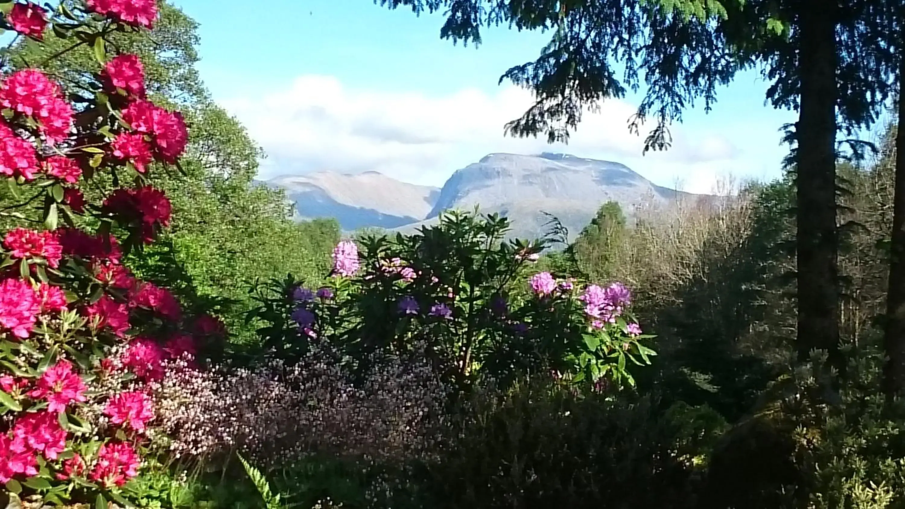 TOM BEAG - Ben Nevis view ROOMS TOM BEAG - Ben Nevis view ROOMS