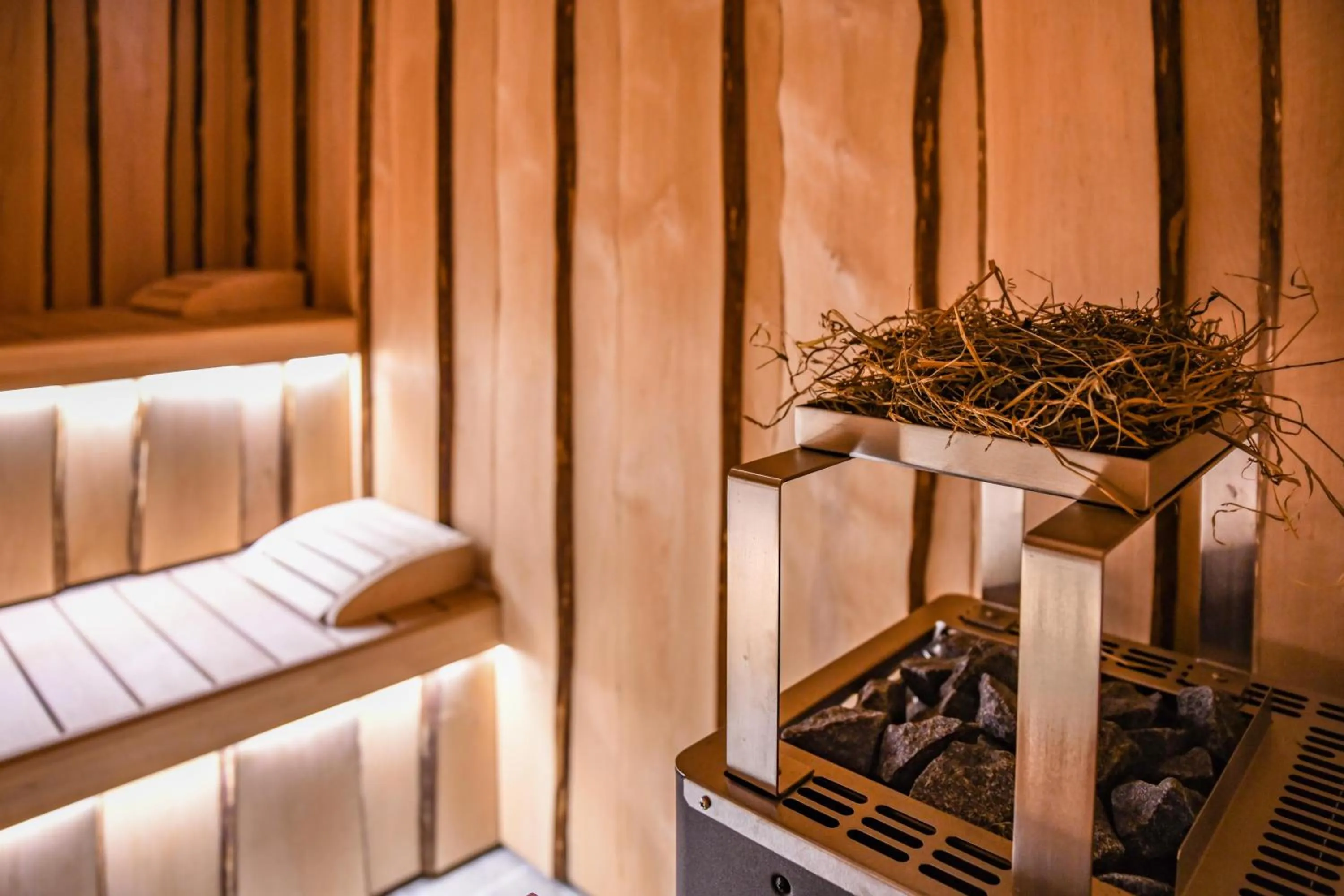 Spa and wellness centre/facilities in Hotel Denny