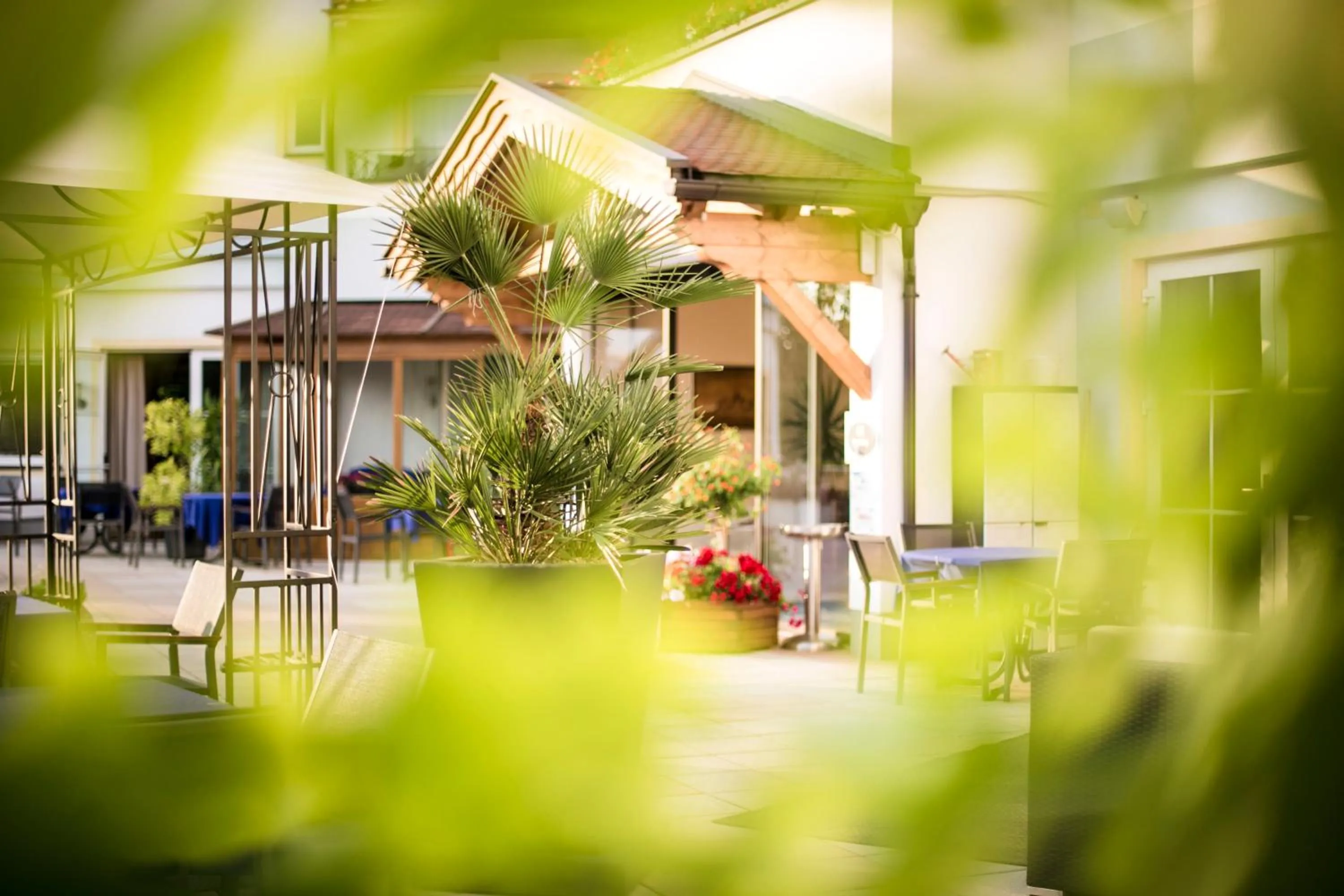 Property building in Hotel Marica