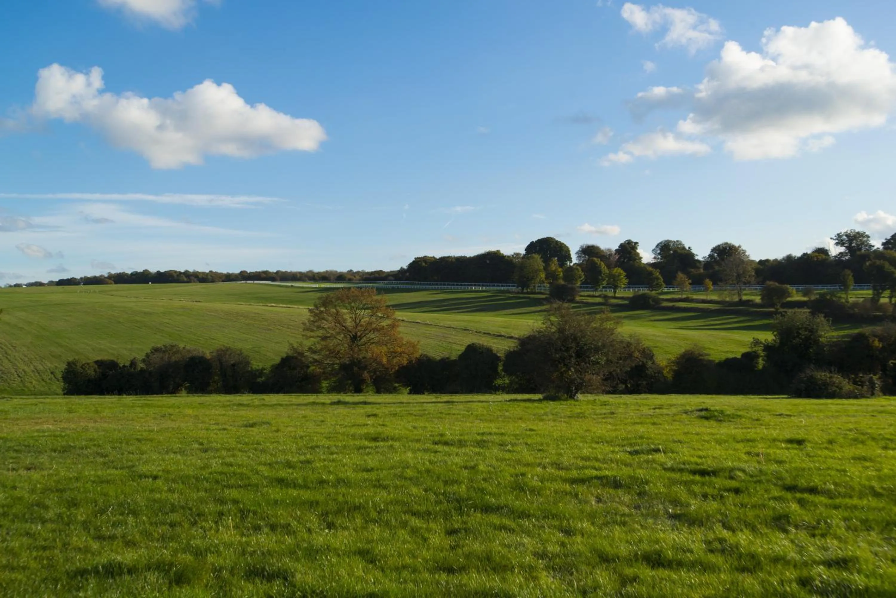 Other in Holiday Inn Express London - Epsom Downs by IHG