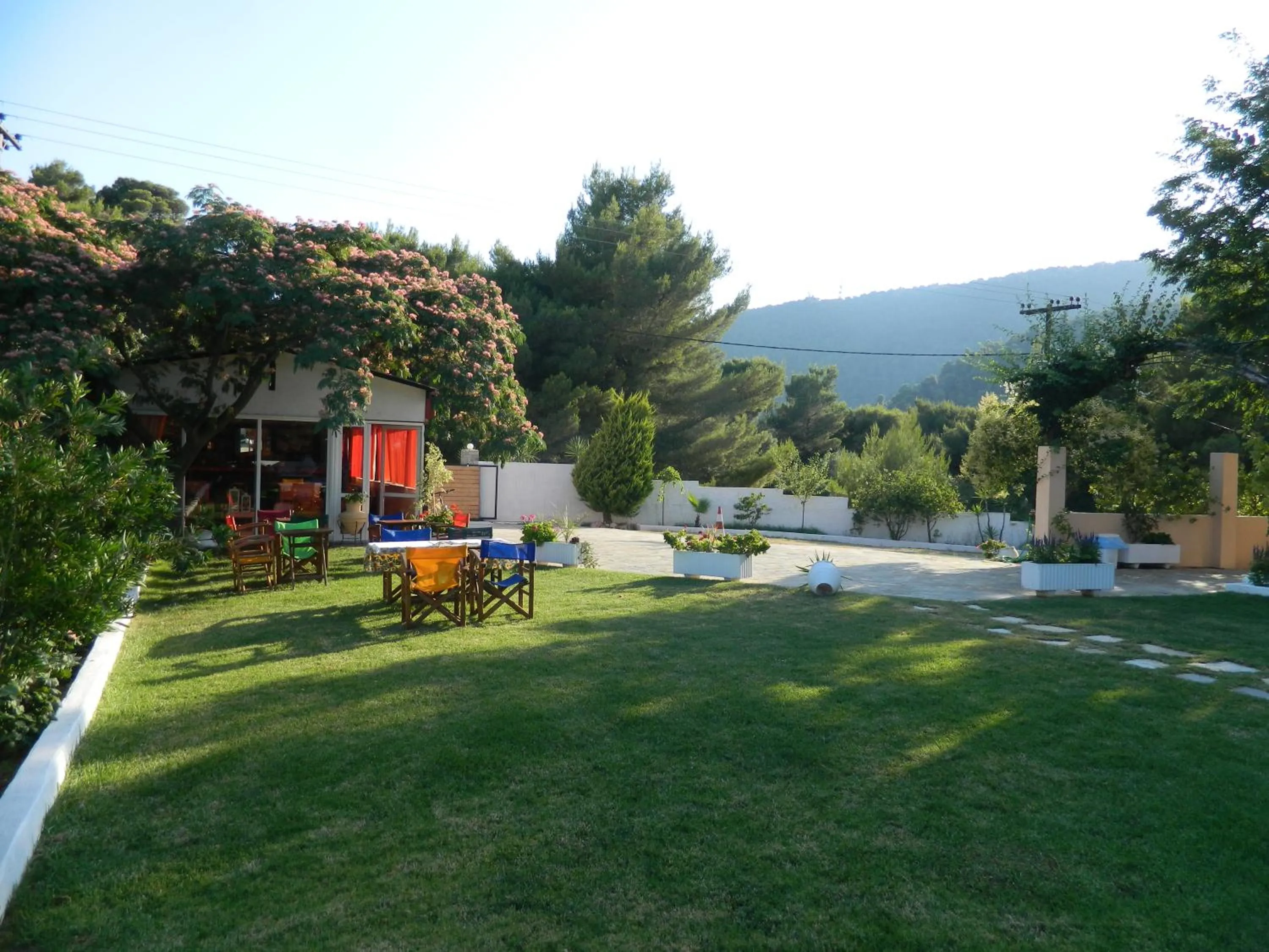 Garden in Asteri Studios