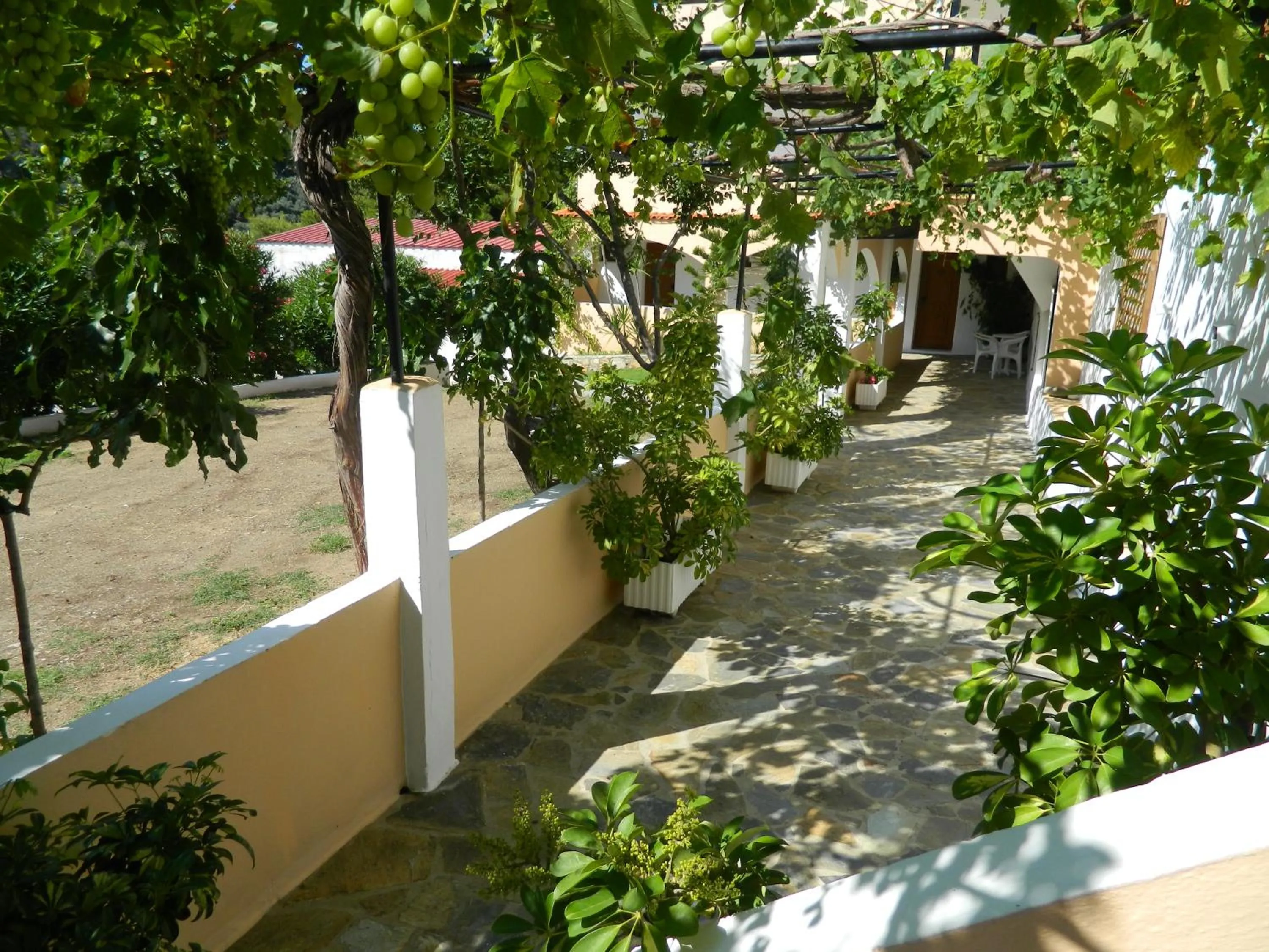 Asteri Studios