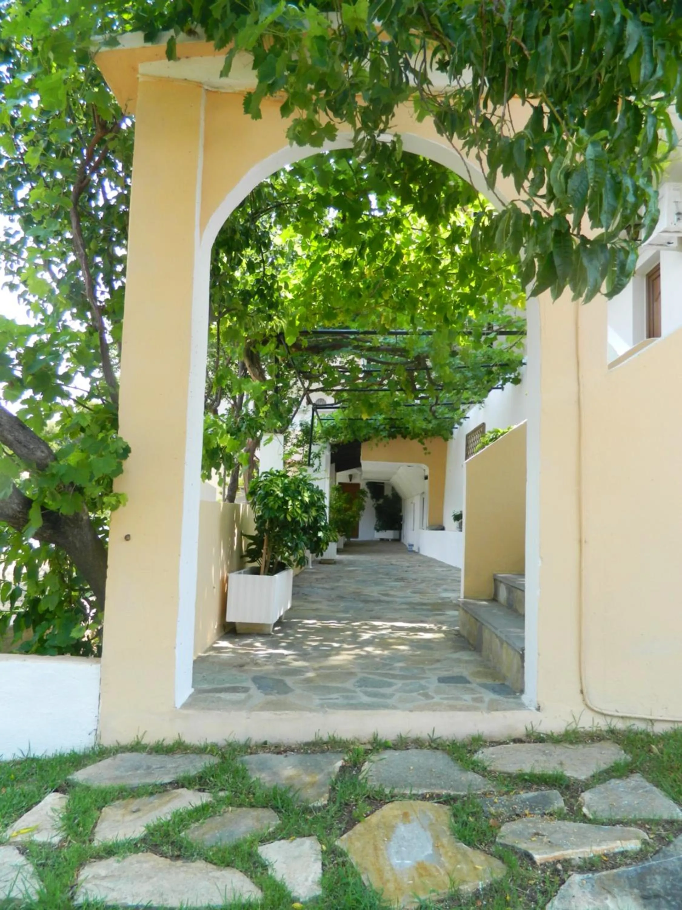 Asteri Studios