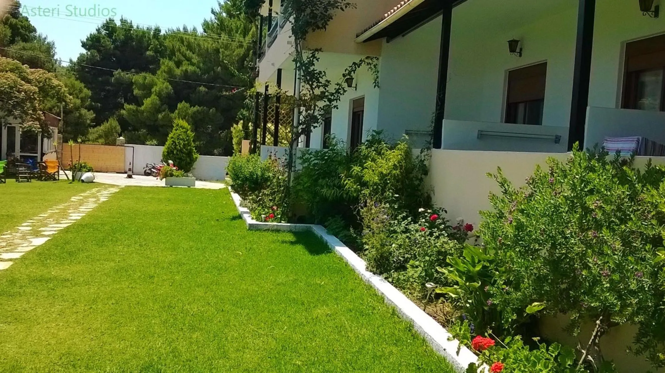 Garden in Asteri Studios