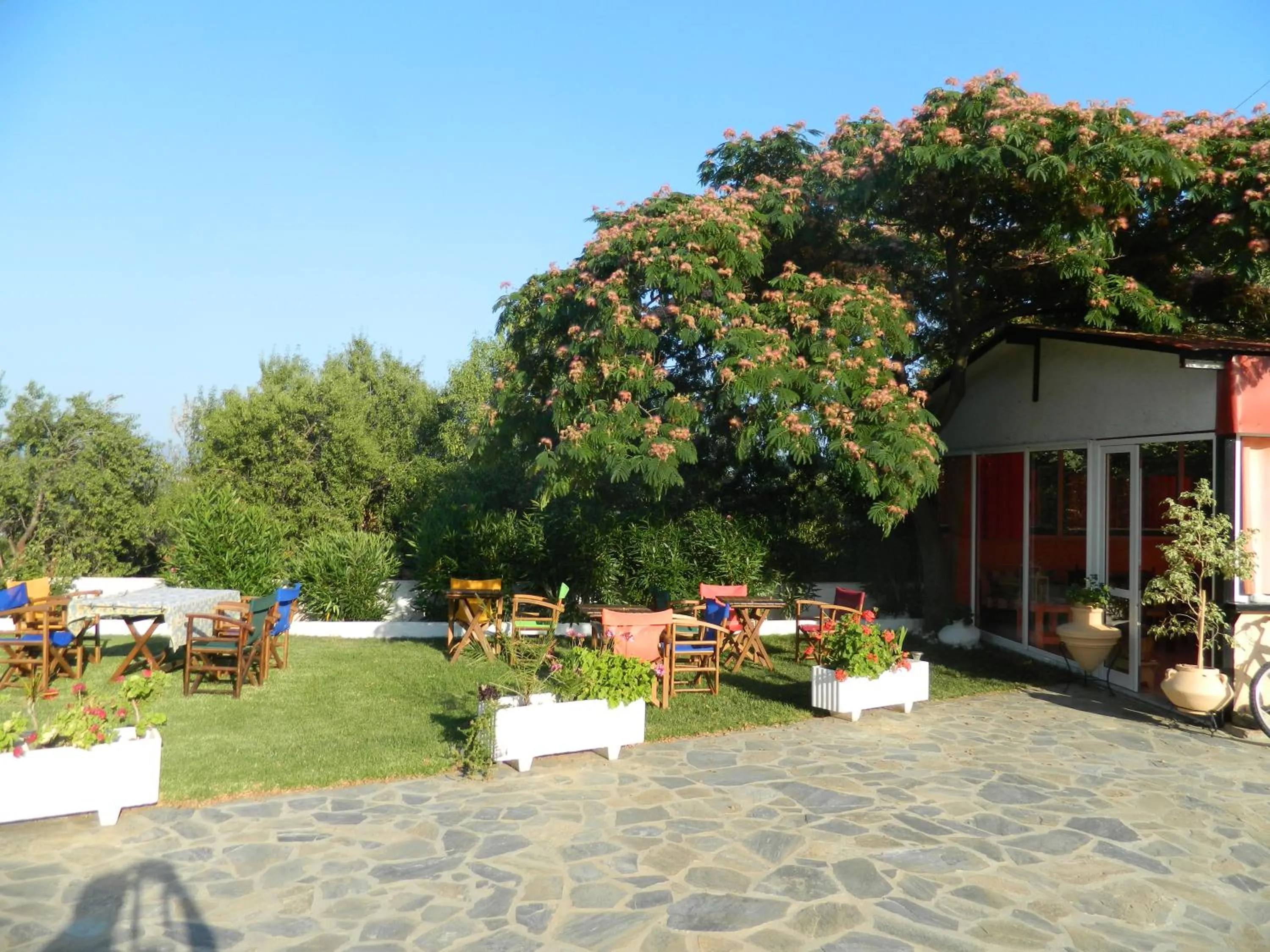 Garden in Asteri Studios