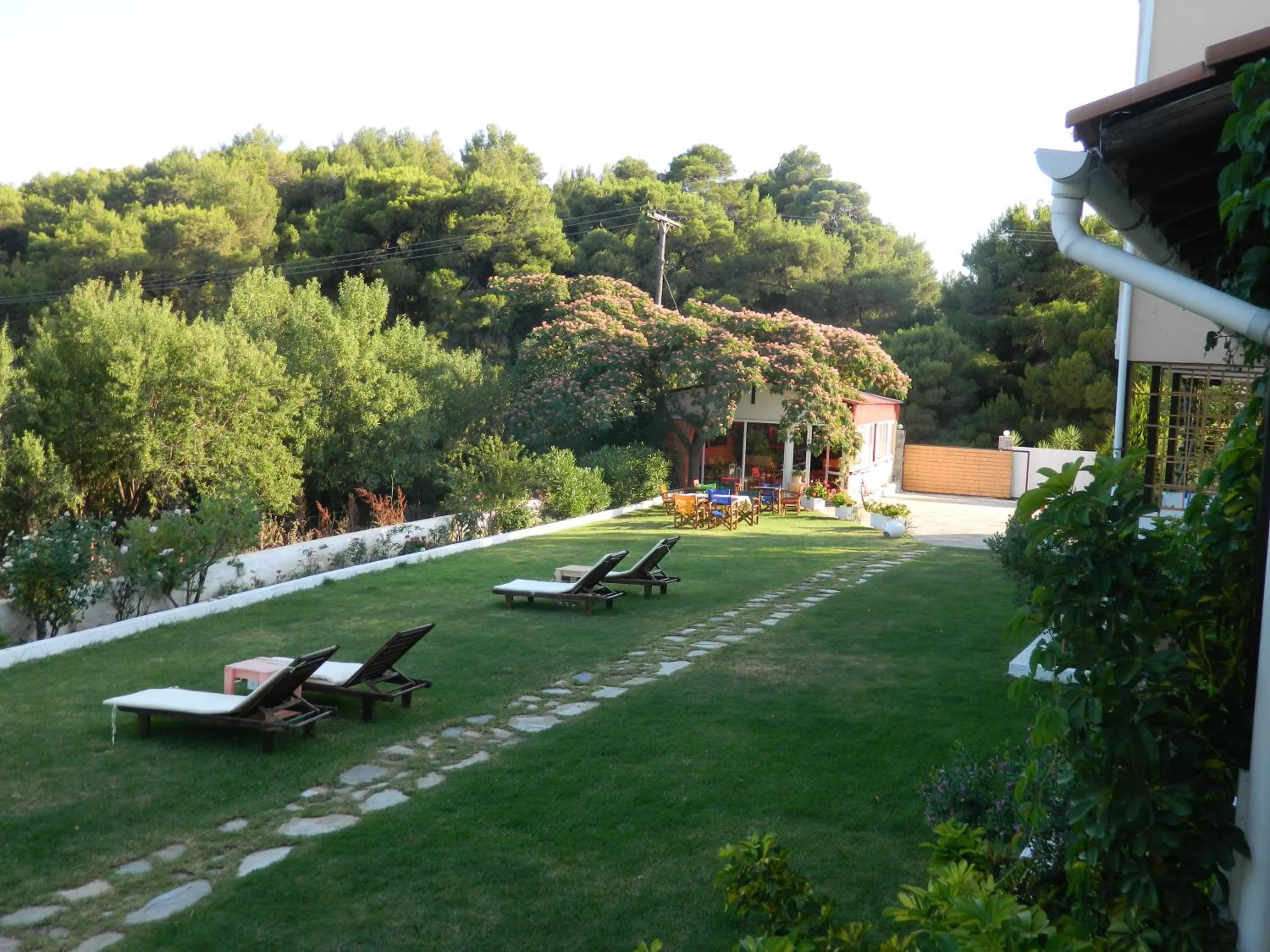 Garden in Asteri Studios