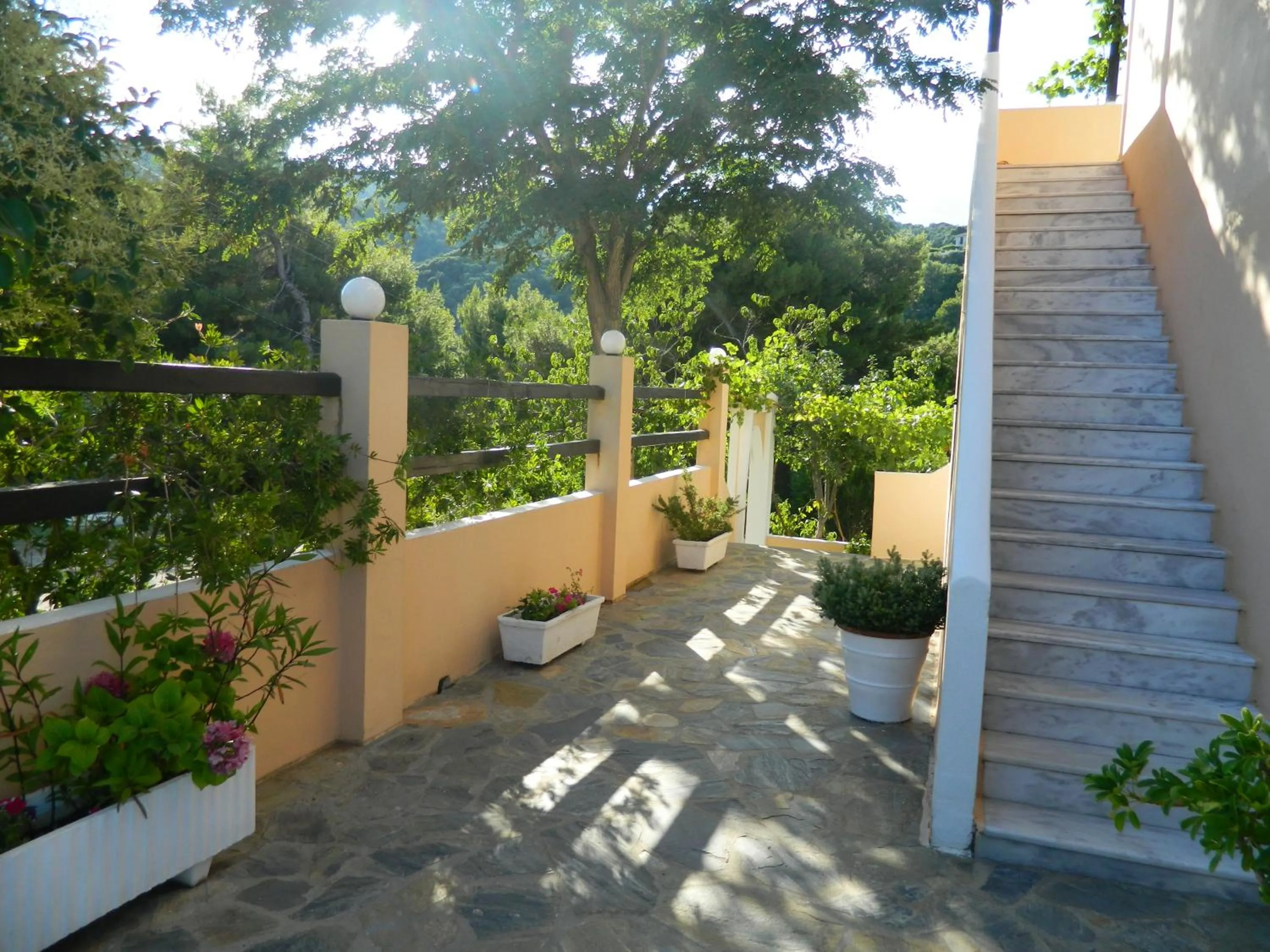 Asteri Studios