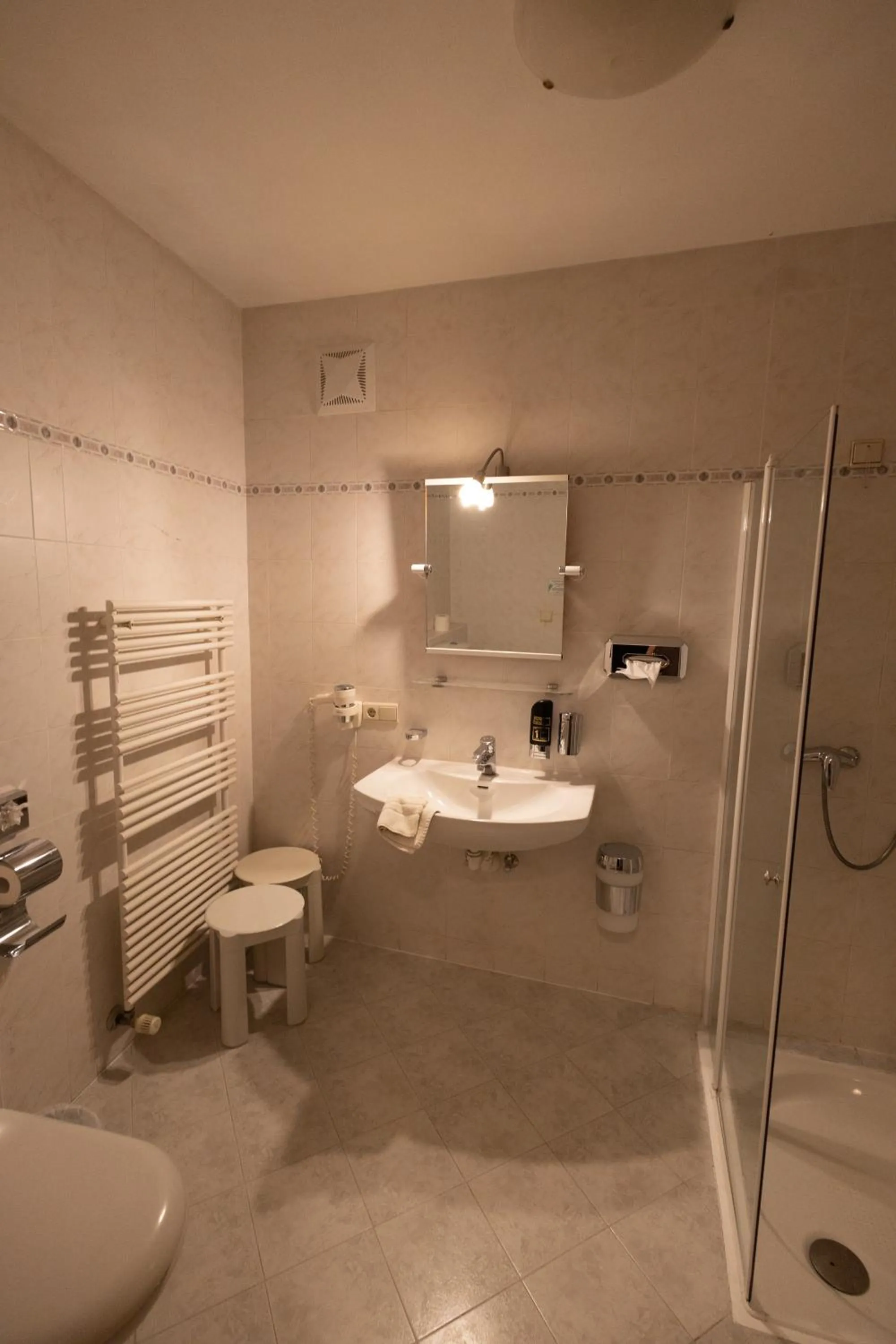 Toilet in Hotel Marlingerhof