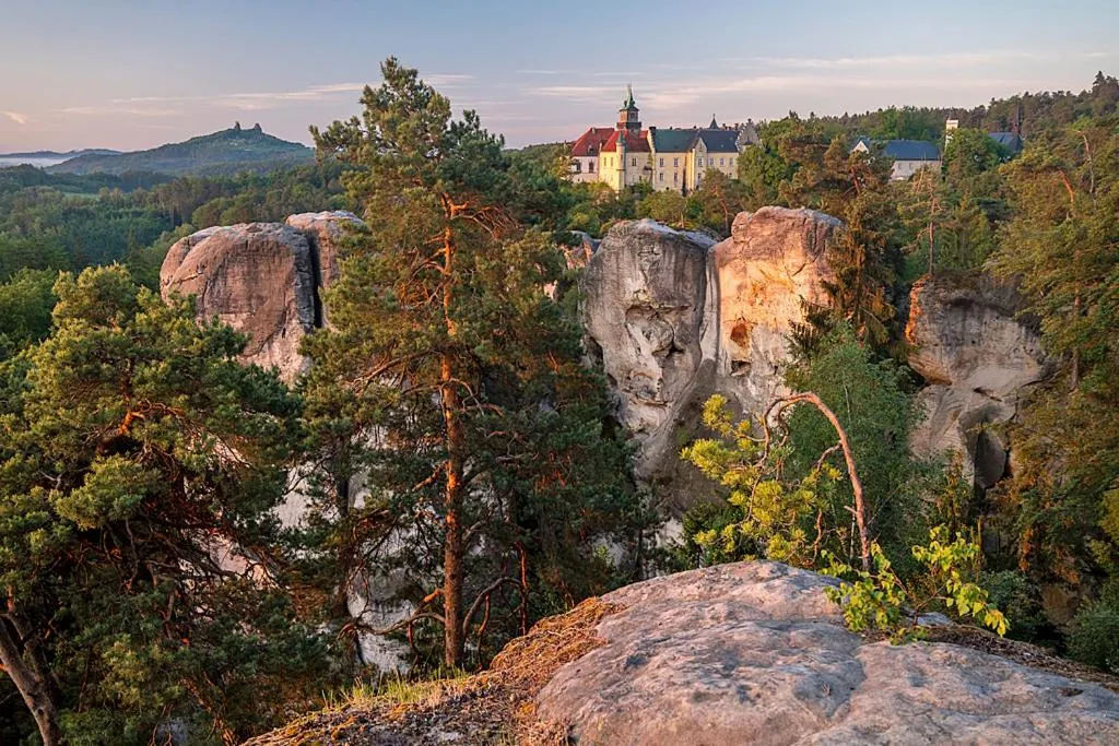 Hotel reSTART Superior