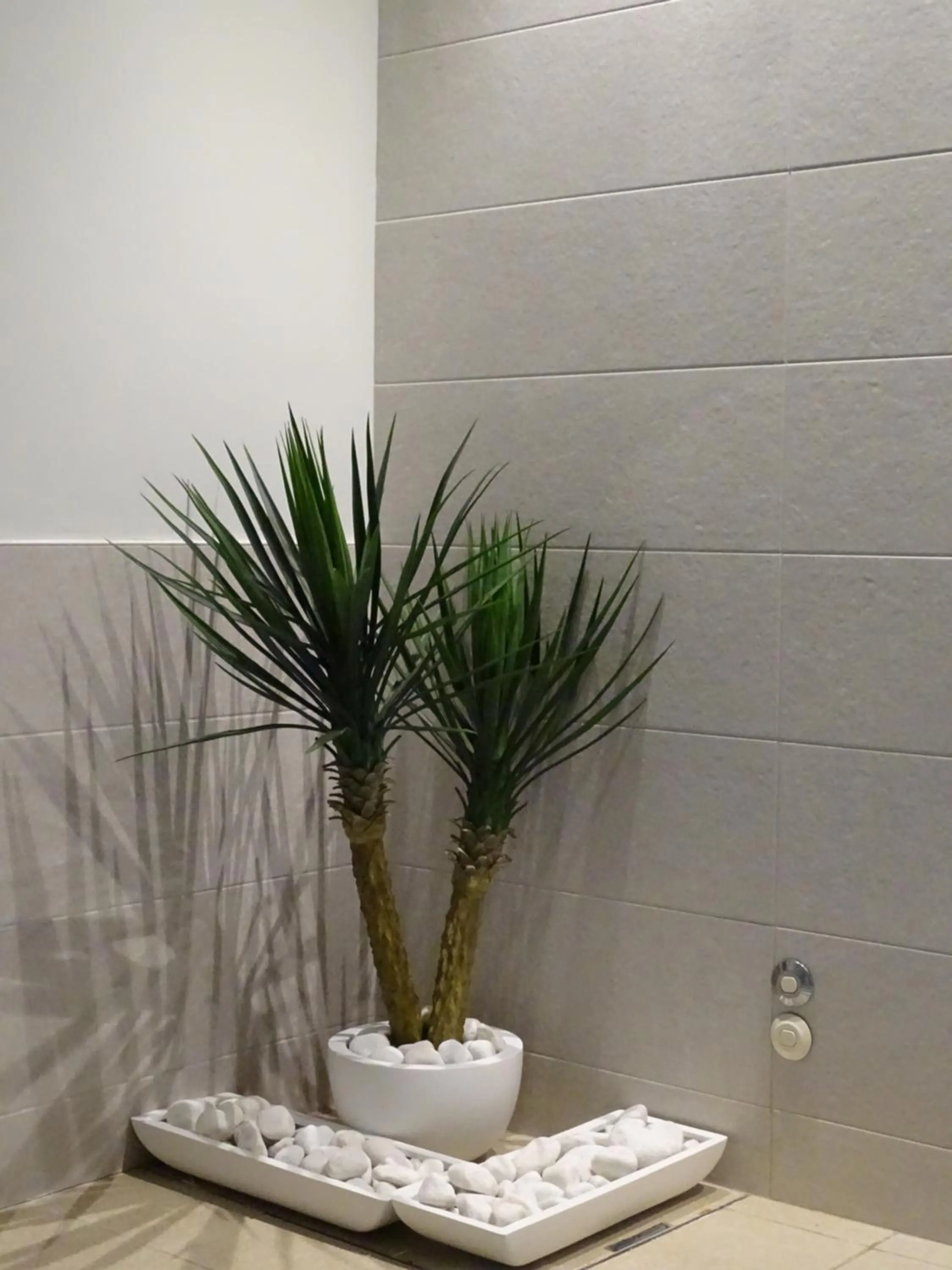 Fitness centre/facilities in The Beeches Hotel & Leisure Club