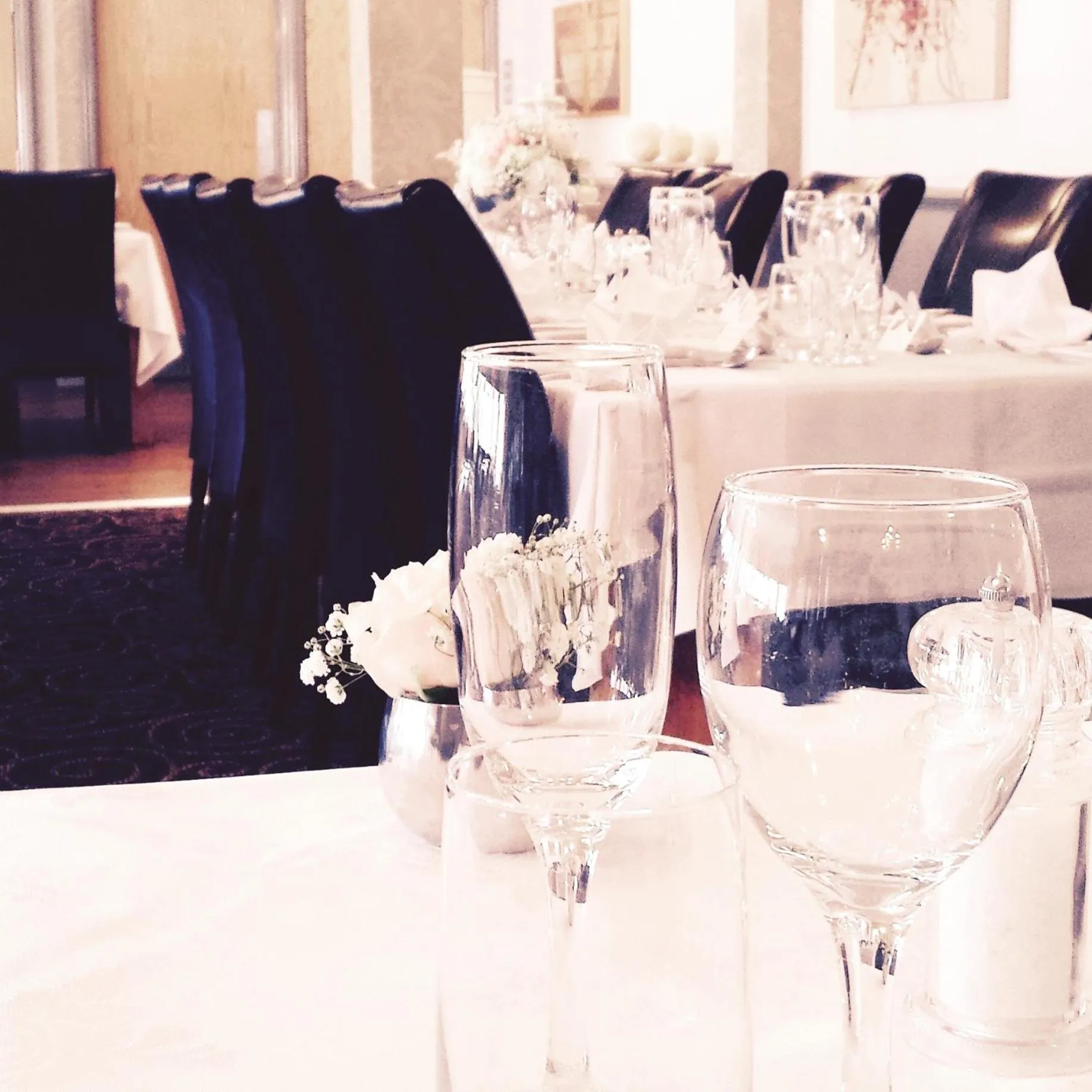 Banquet/Function facilities in The Beeches Hotel & Leisure Club