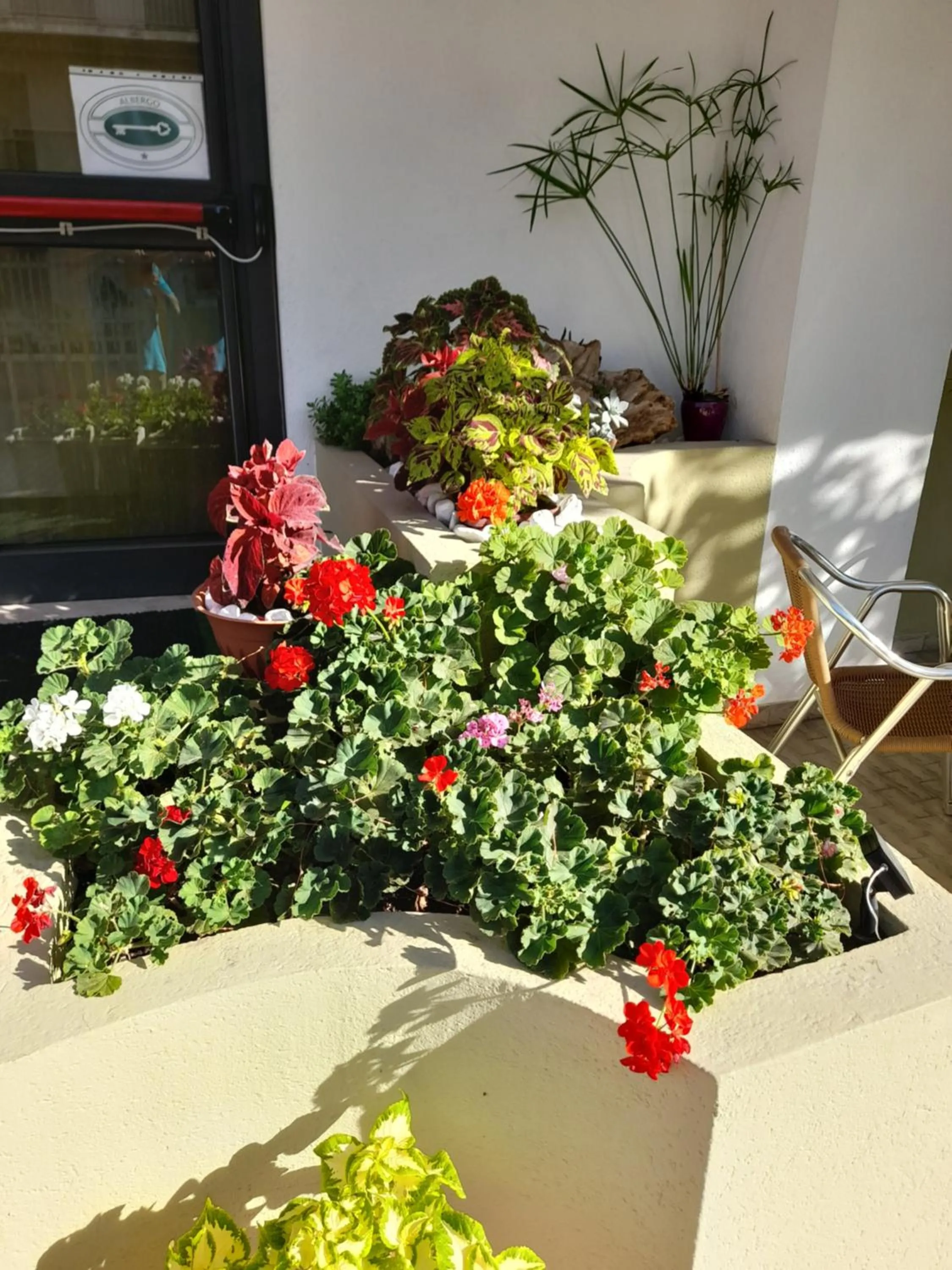 Property building in Hotel Carmen Viserba