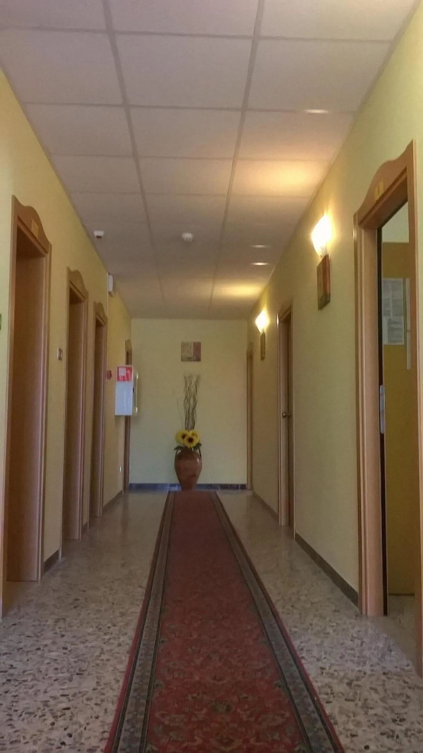 Other in Hotel Carmen Viserba