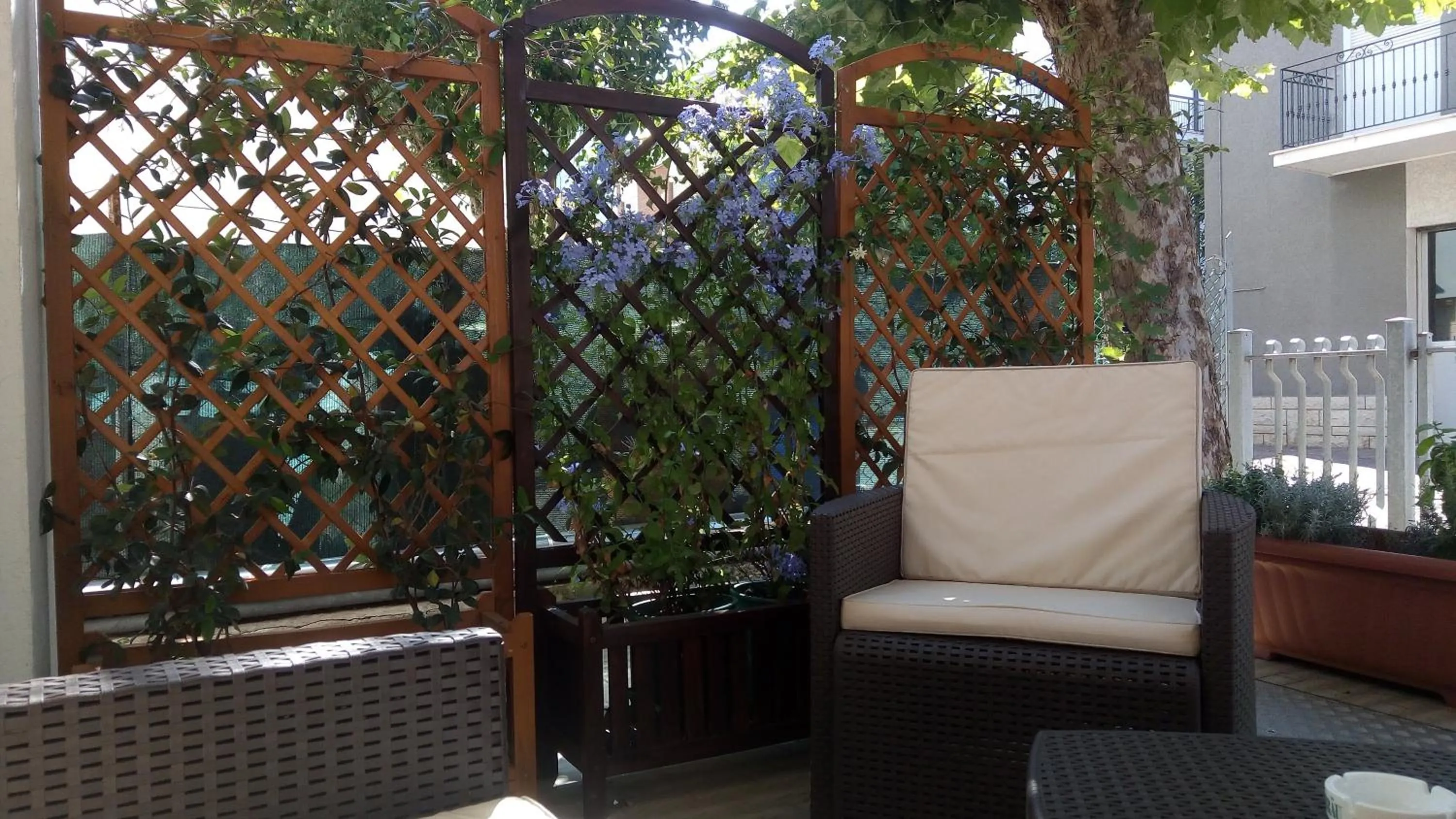 Inner courtyard view in Hotel Carmen Viserba