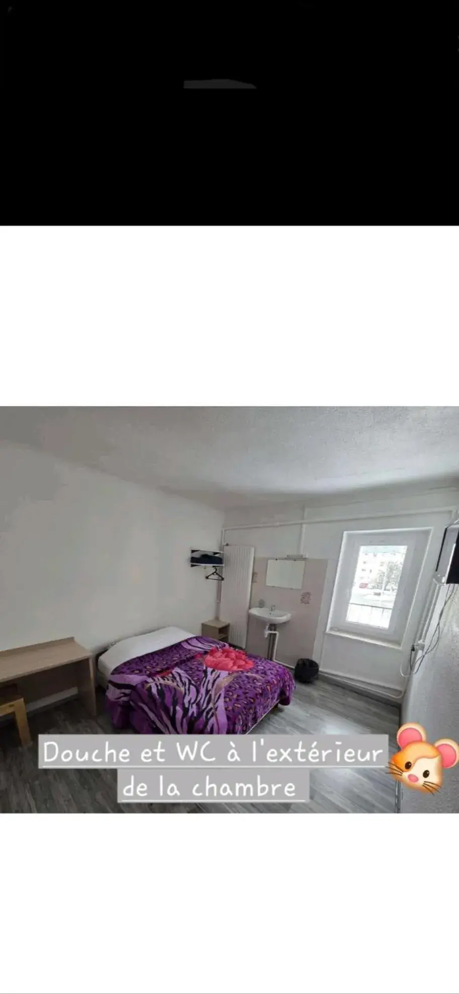 Double Room with Shared Bathroom in Hotel de la Gare Double Room with Shared Bathroom in Hotel de la Gare