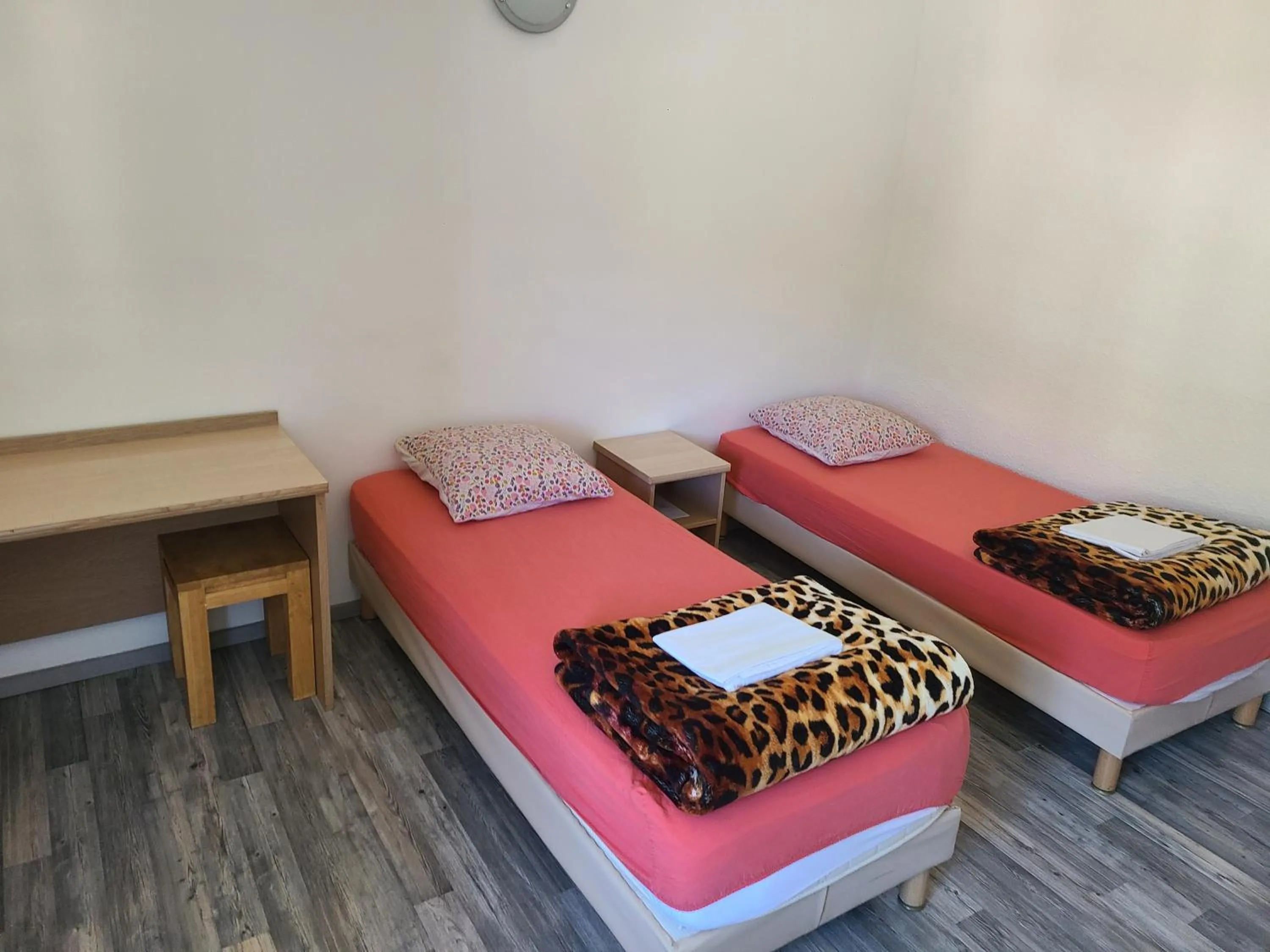 Twin Room with Shared Bathroom in Hotel de la Gare