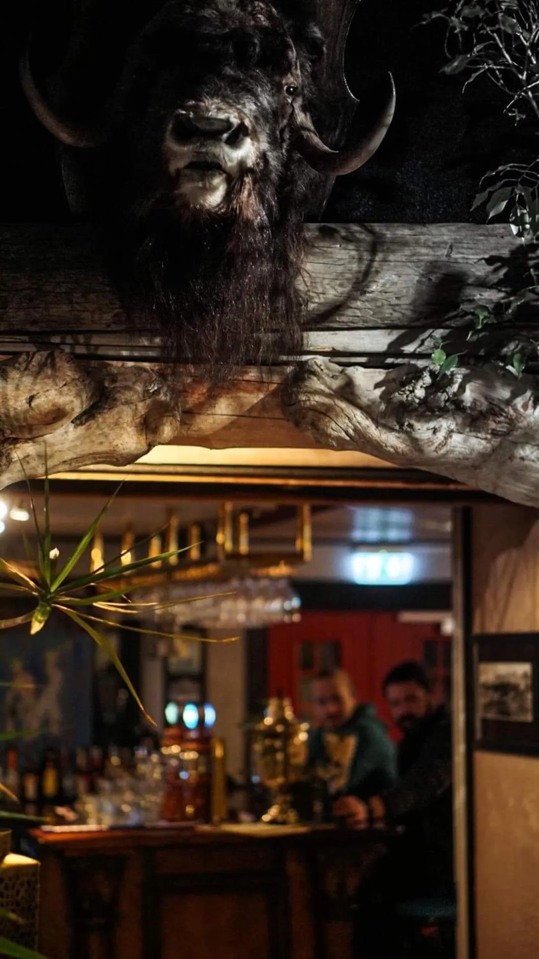 Lounge or bar in Mary-Ann's Polarrigg