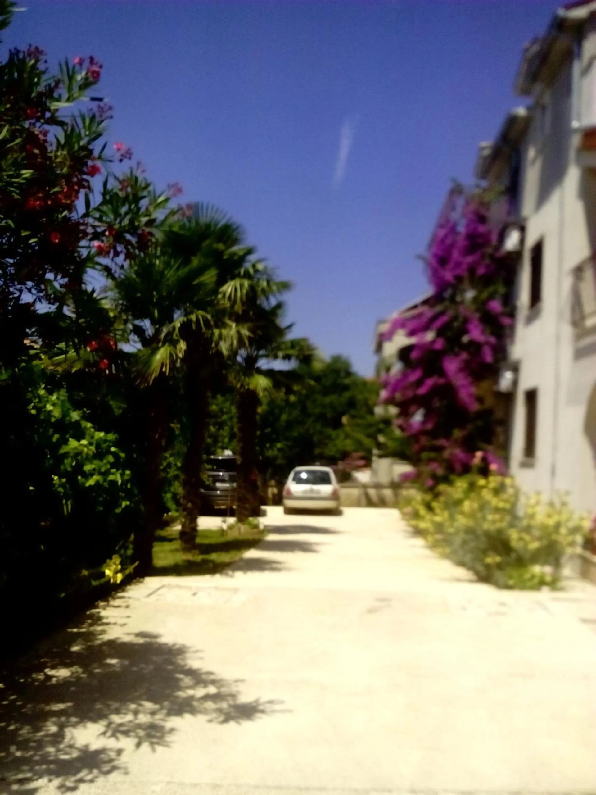 Patio in Apartments Zova