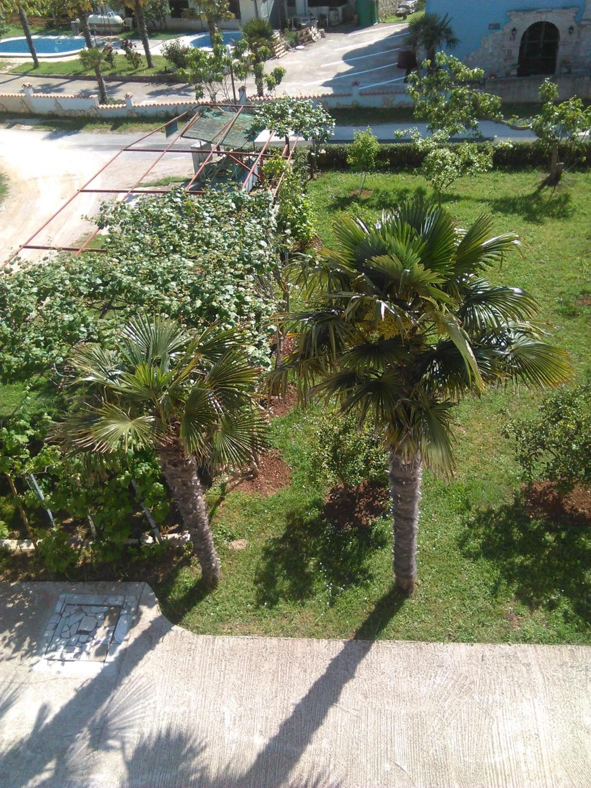 Garden in Apartments Zova