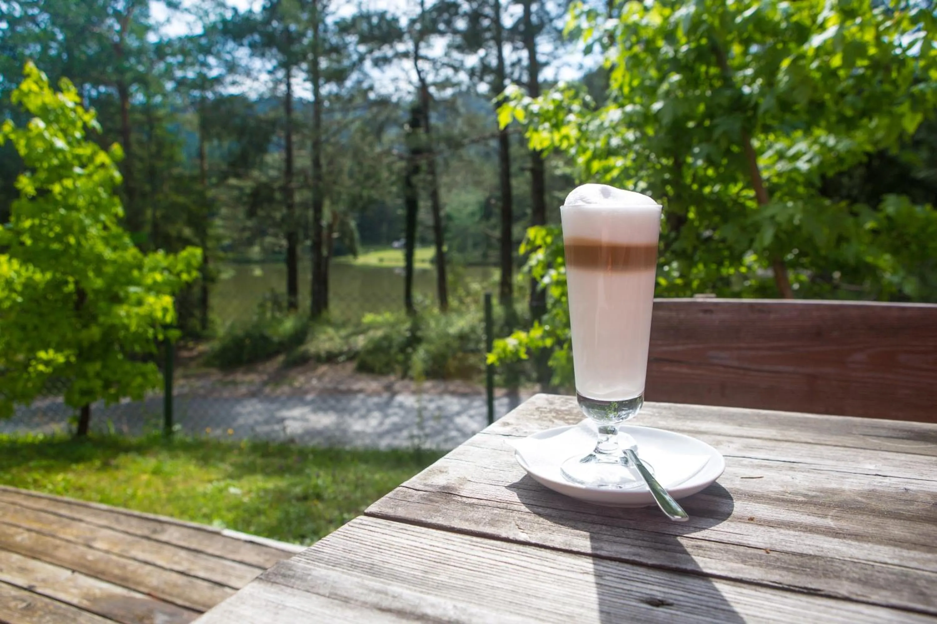 Decorative detail in Hotel Rakitna