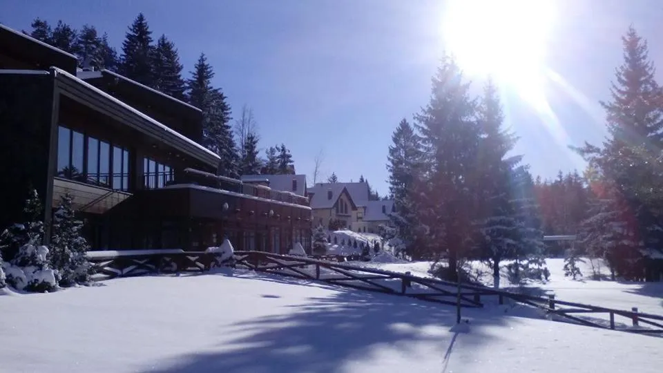 Winter in Hotel Rakitna
