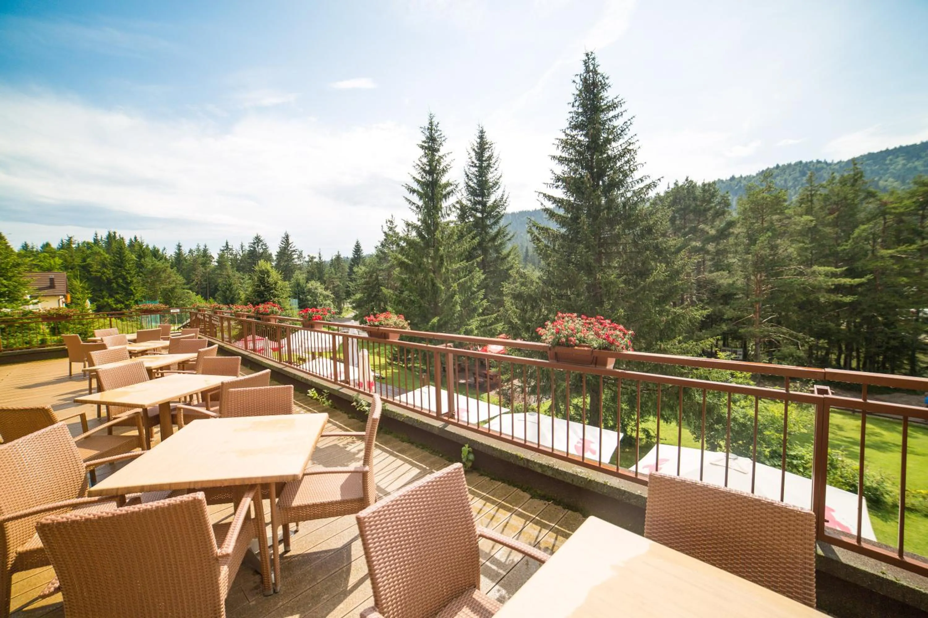 Balcony/Terrace in Hotel Rakitna