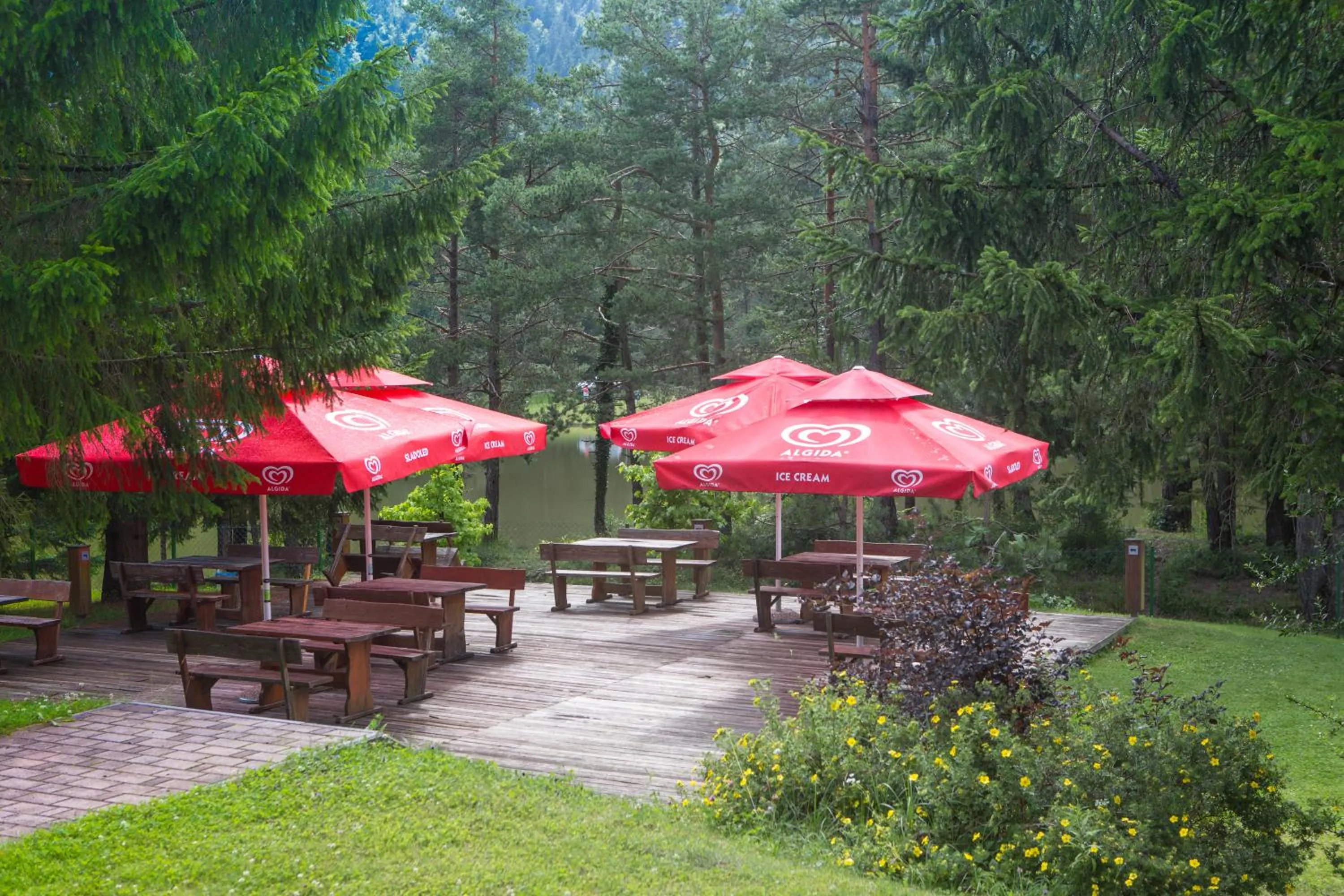 Garden in Hotel Rakitna