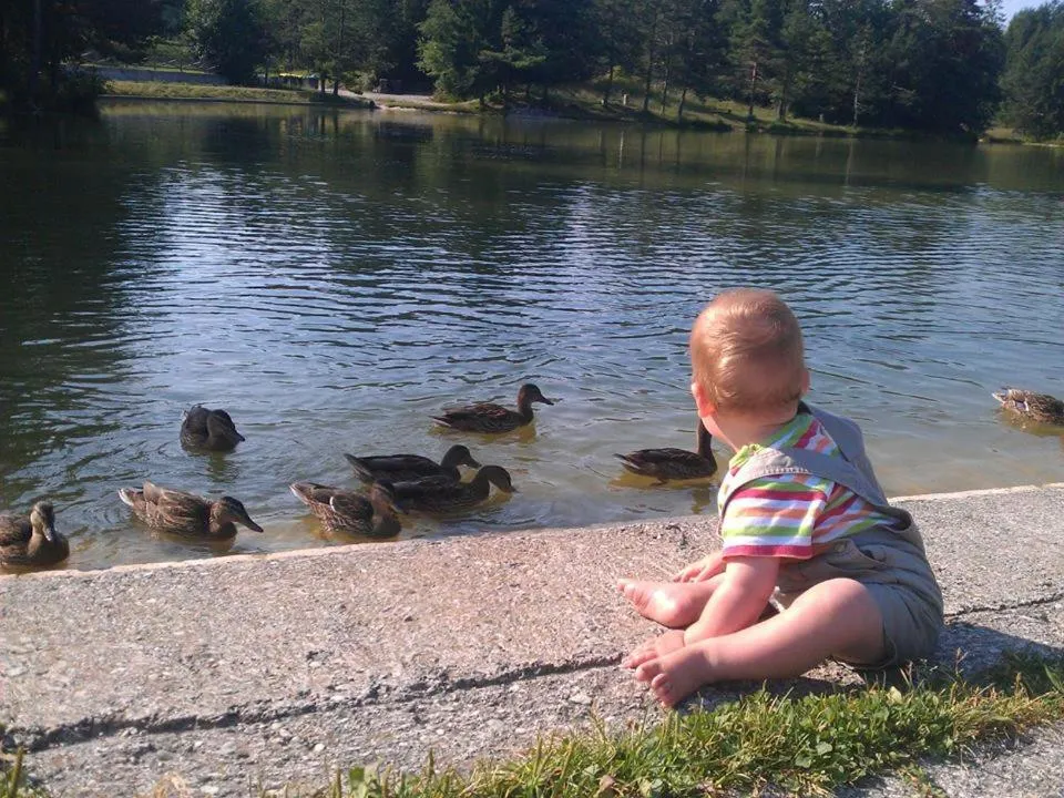 Beach in Hotel Rakitna