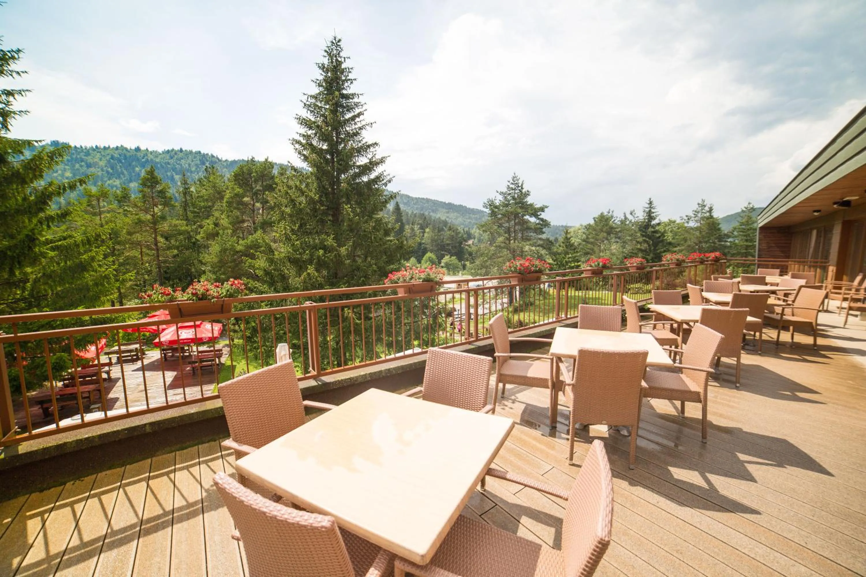 Balcony/Terrace in Hotel Rakitna