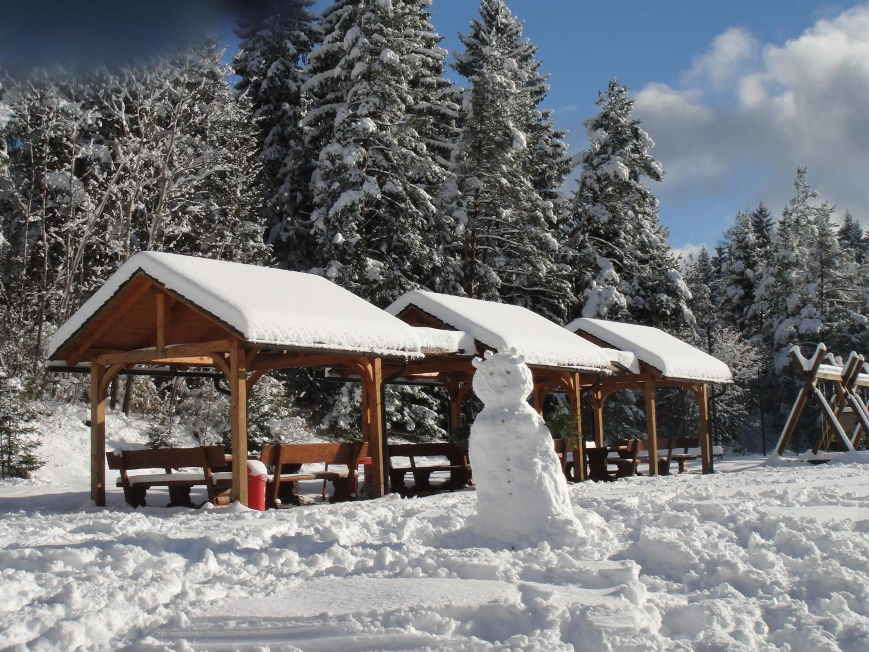 Winter in Hotel Rakitna