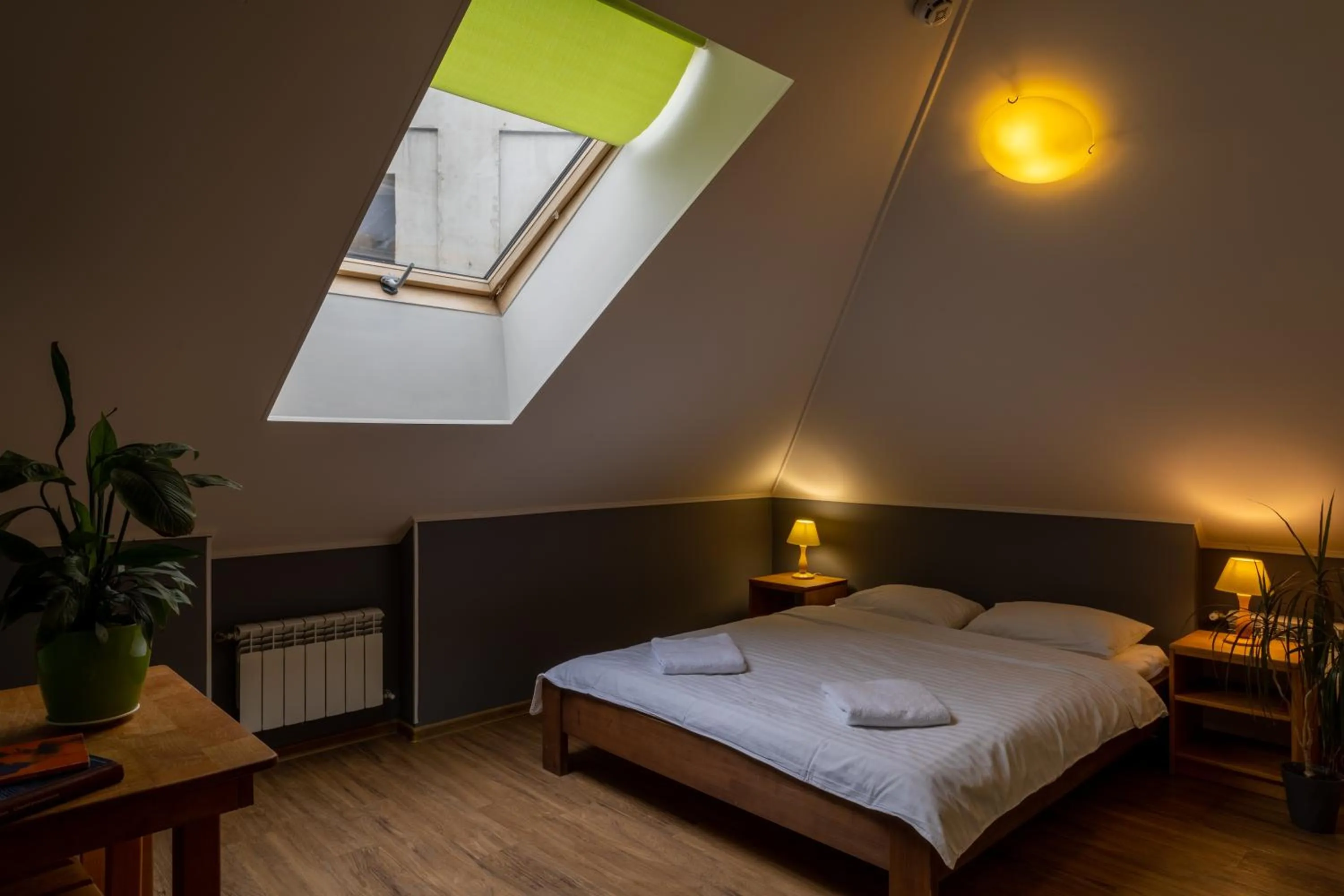 Bed in DREAM Hostel Kyiv