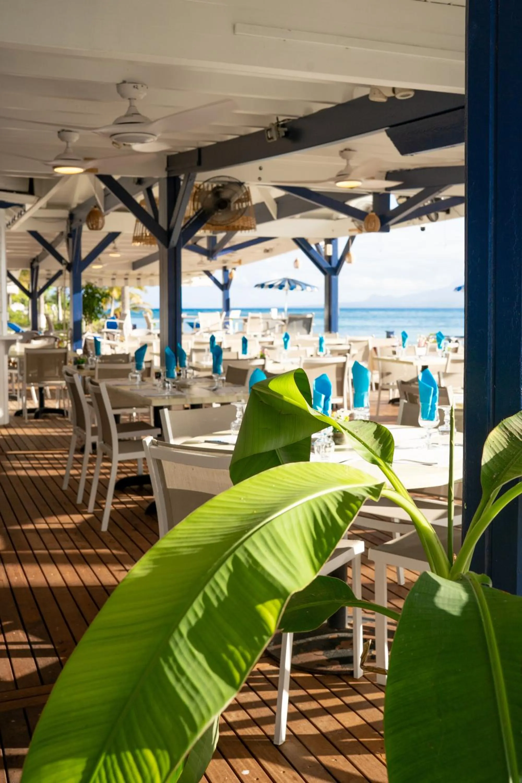 Restaurant/places to eat in Canella Beach Hotel