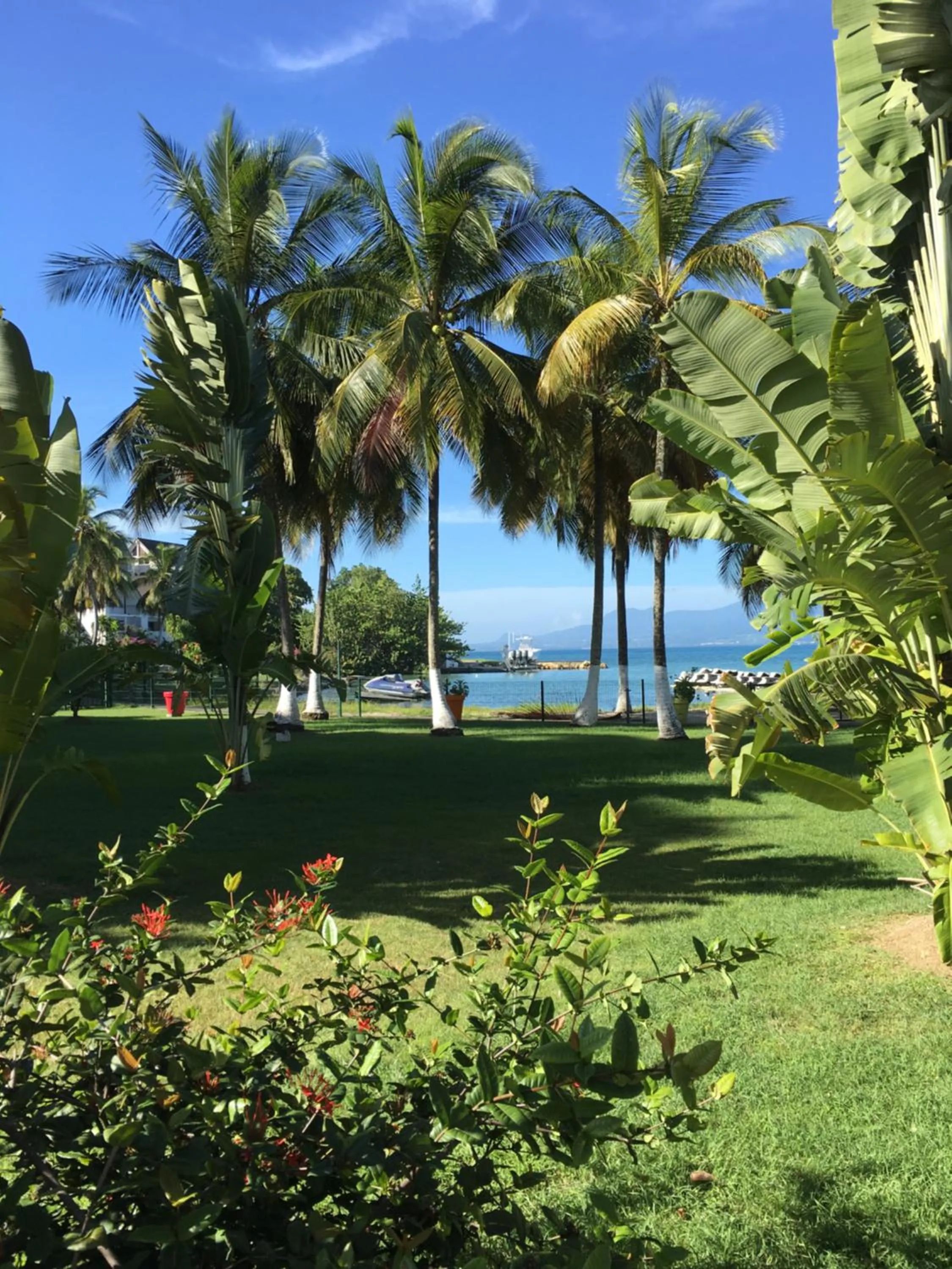 Garden in Canella Beach Hotel