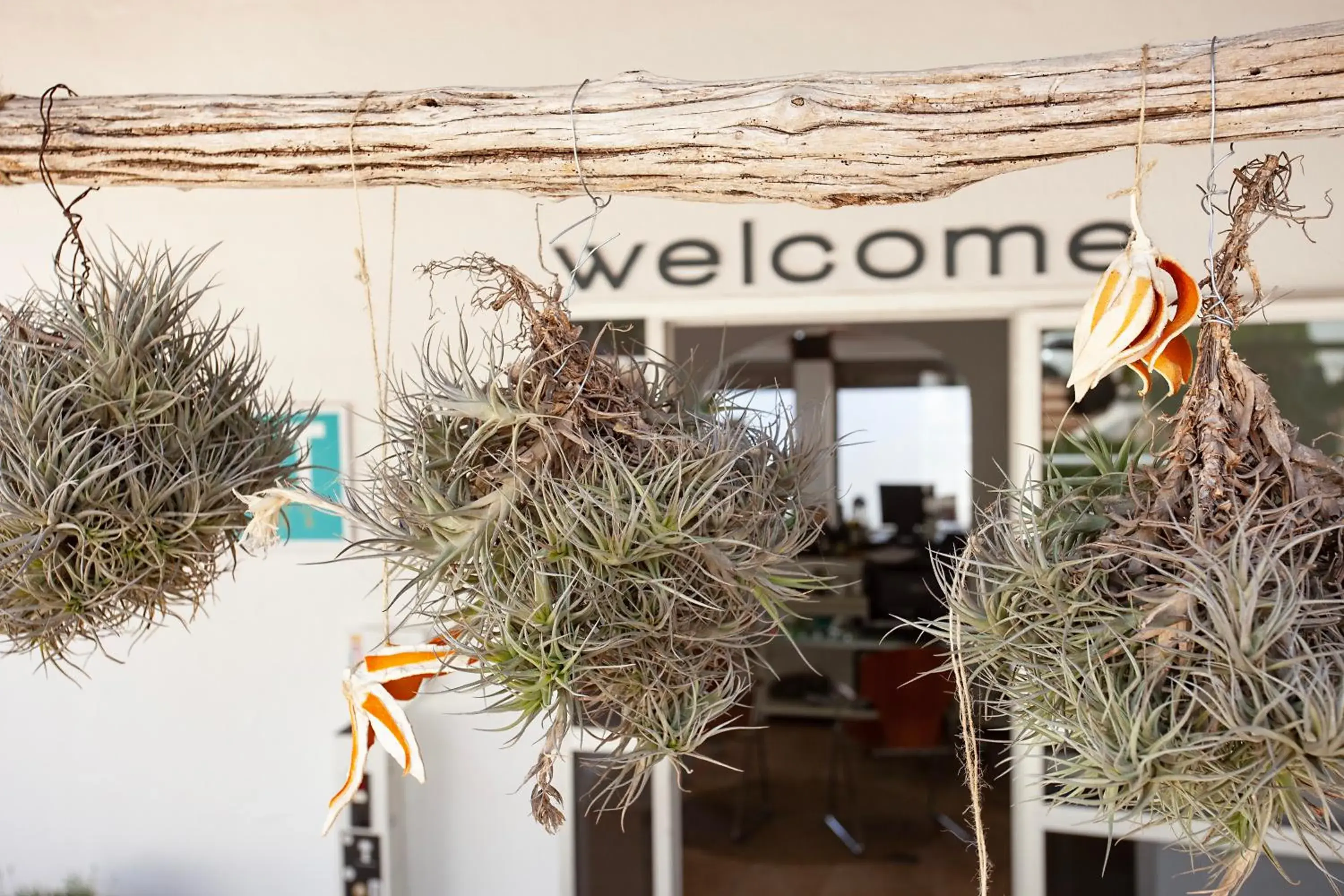 Lobby or reception in BJ Apartamentos Europa Lobby or reception in BJ Apartamentos Europa