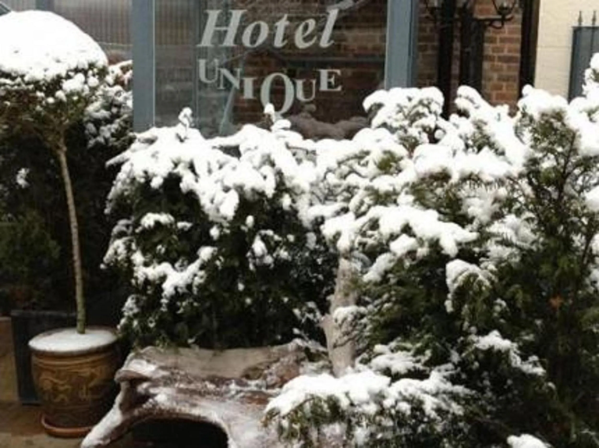 Facade/entrance in Hotel Unique