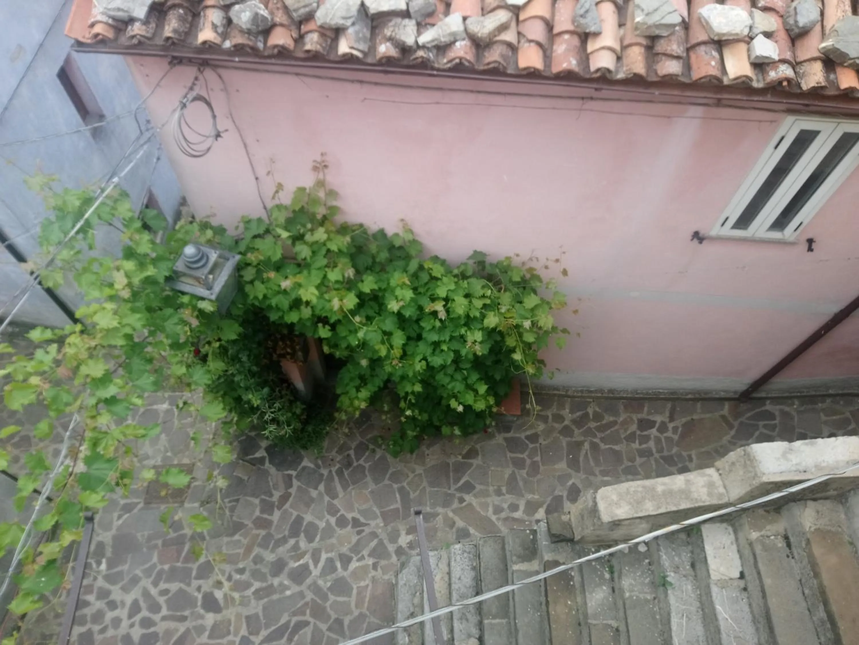 Other in B&b il campanile di leone Pina