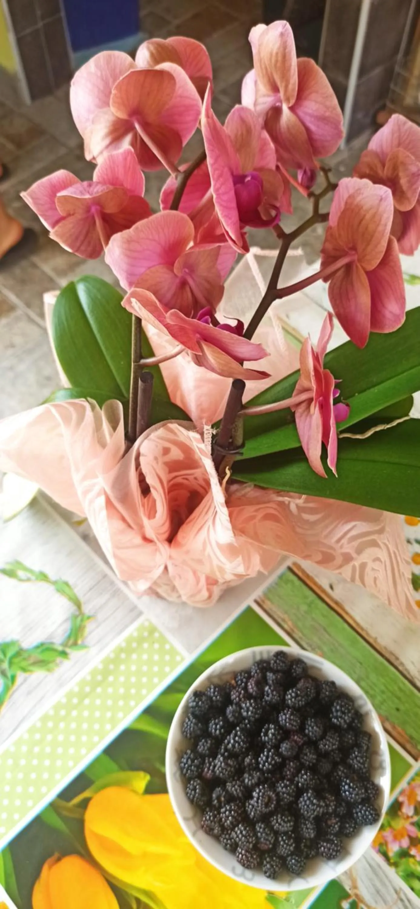 B&b il campanile di leone Pina