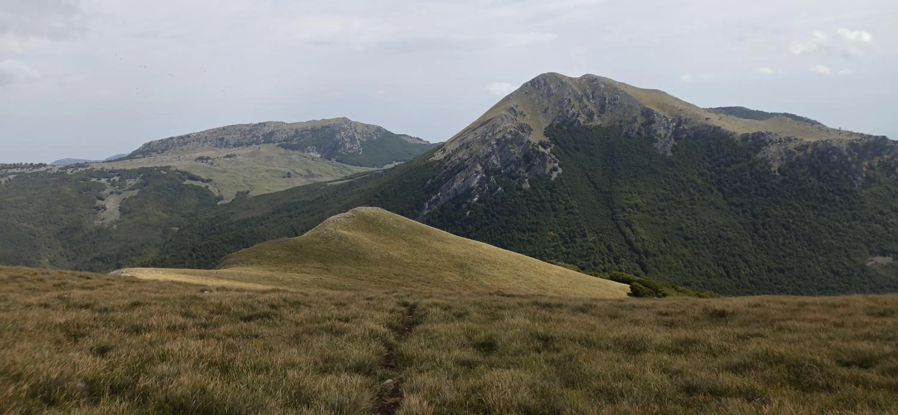 B&b il campanile di leone Pina
