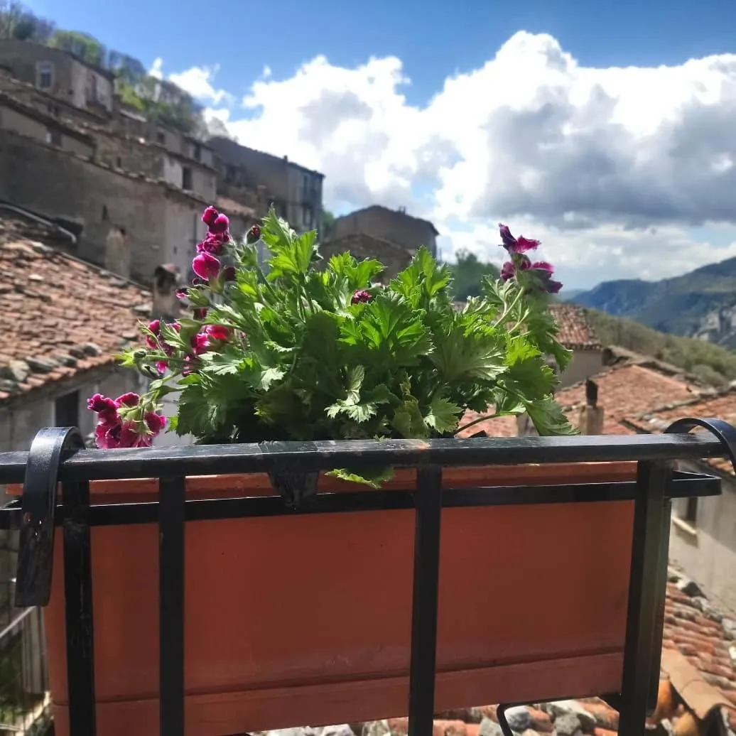 Balcony/Terrace in B&b il campanile di leone Pina